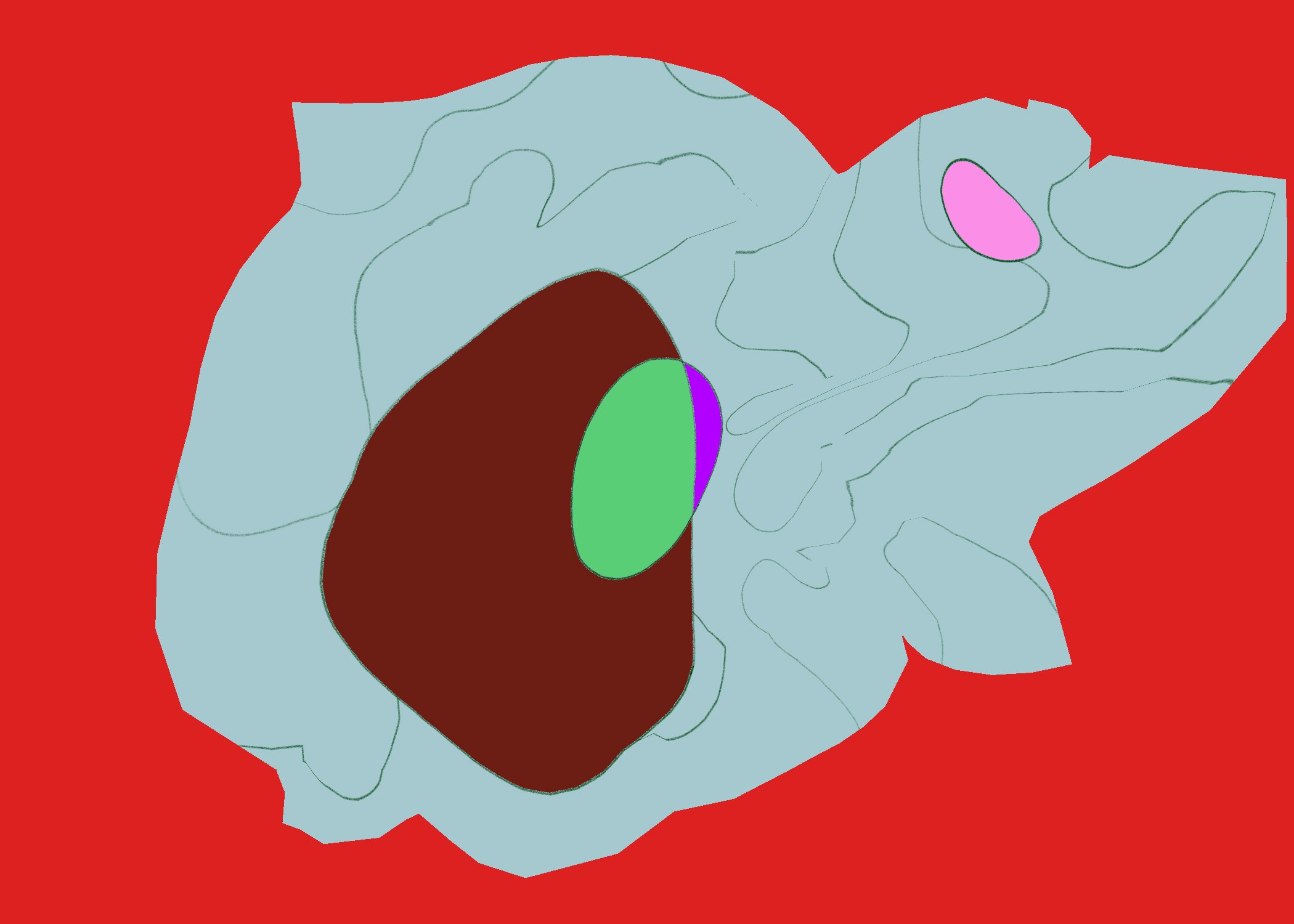 Untitled - January 1, 2026 12.36.jpeg