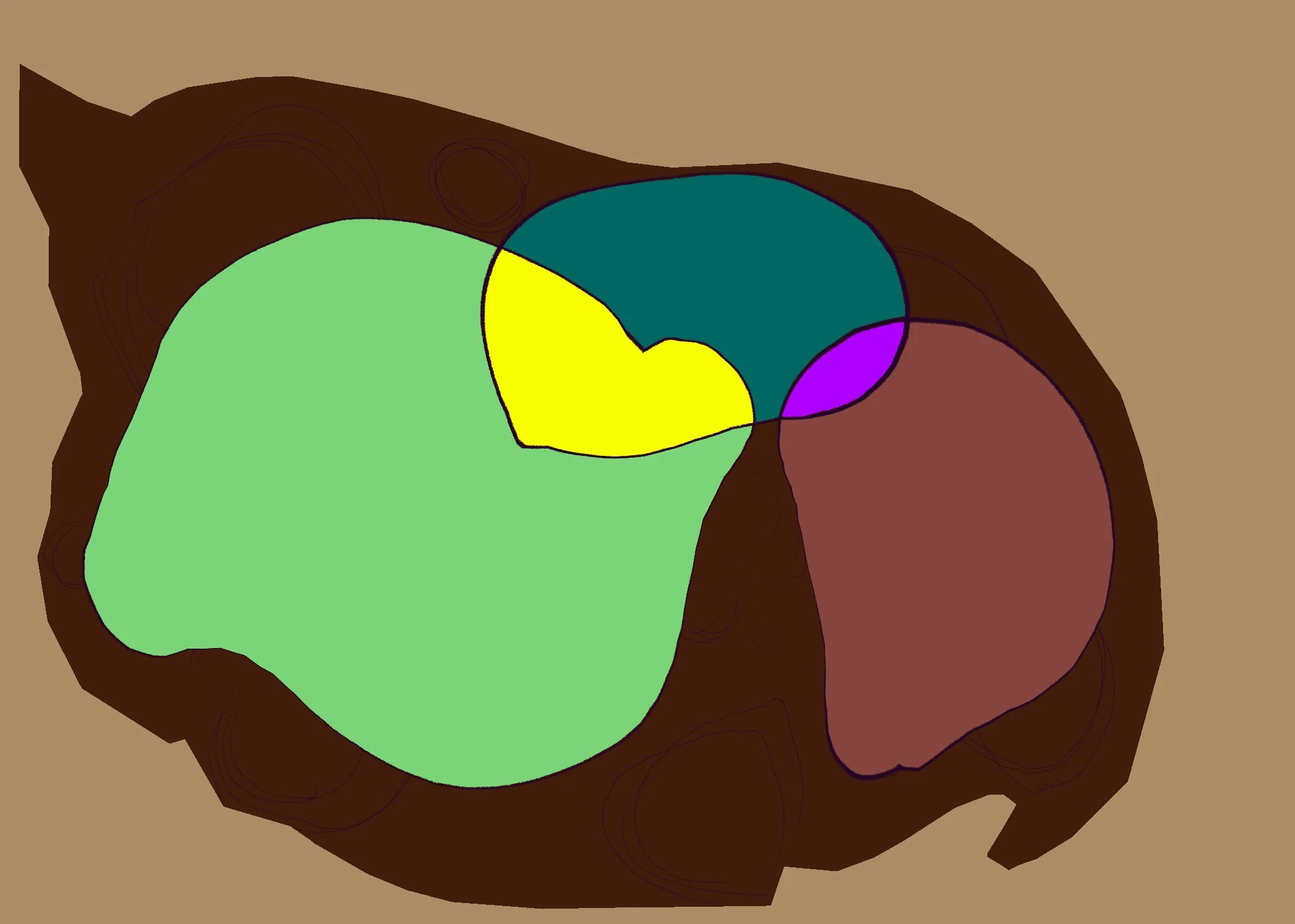 81 Untitled - January 13, 2026 13.45.jpeg