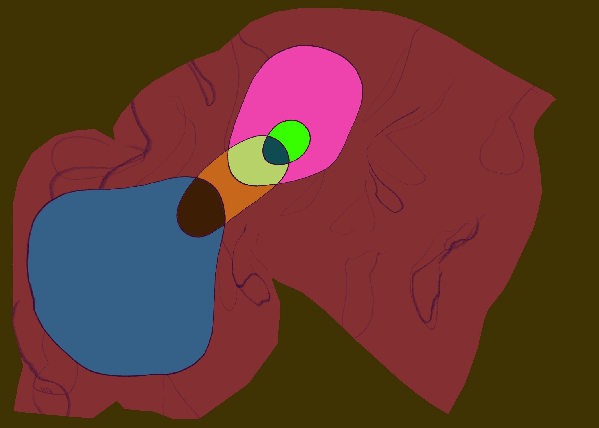 74 Untitled - January 11, 2026 13.39.jpeg