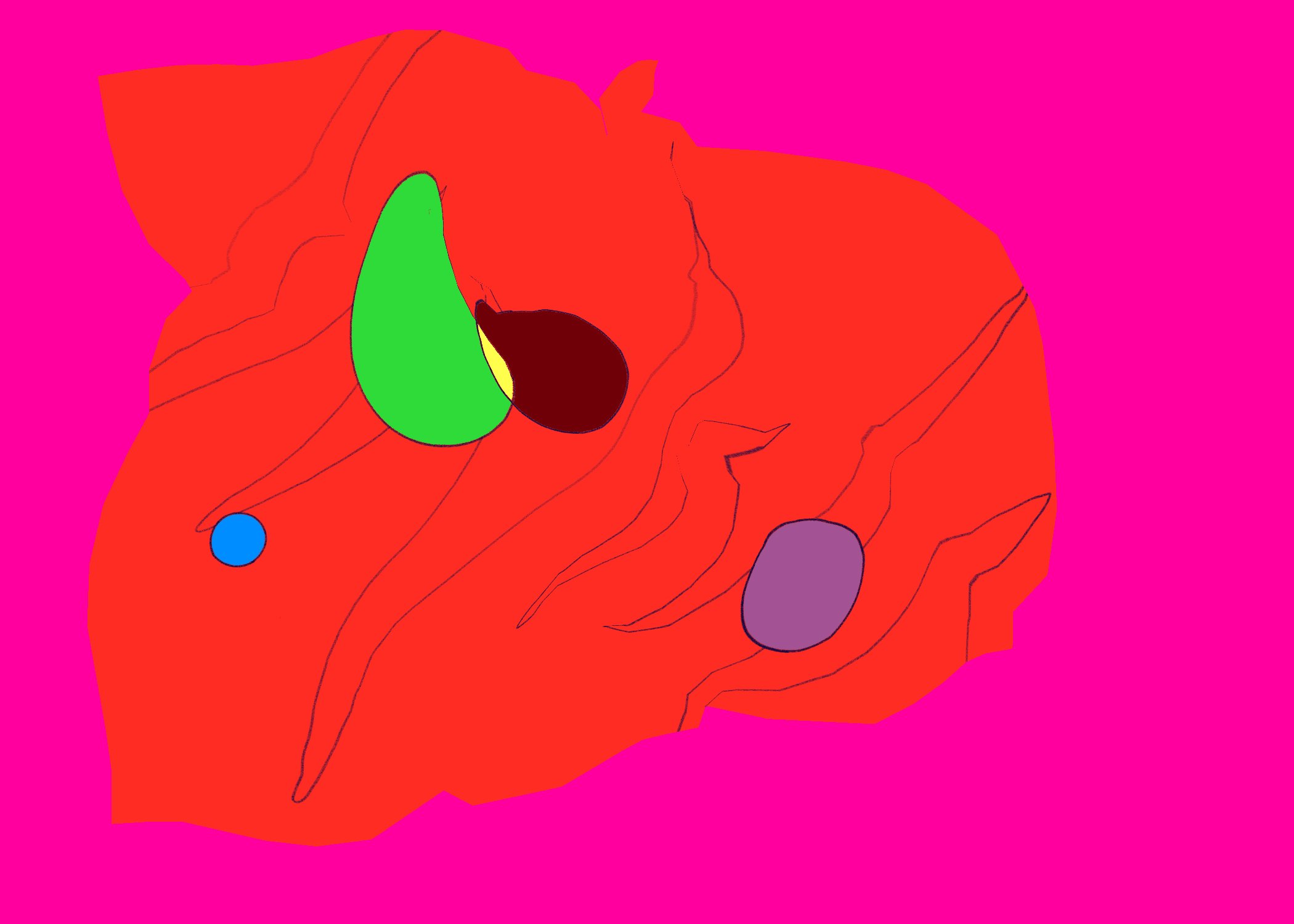 Untitled - January 1, 2026 13.29.jpeg