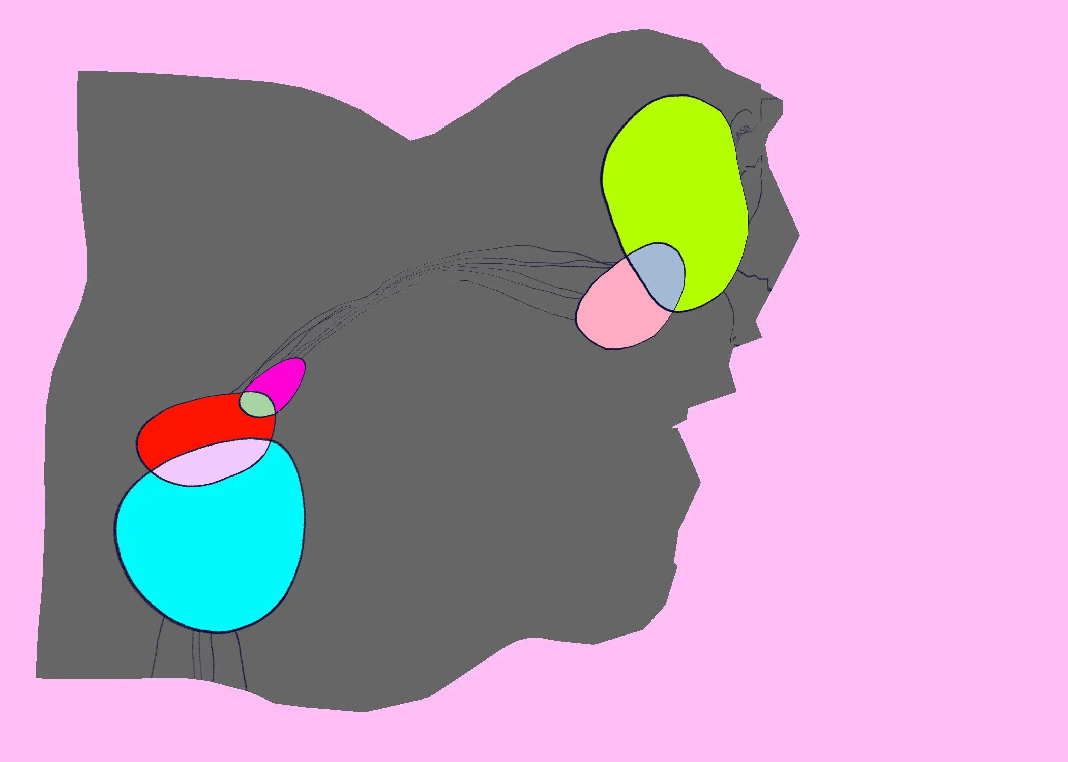 68 Untitled - January 11, 2026 13.20.jpeg