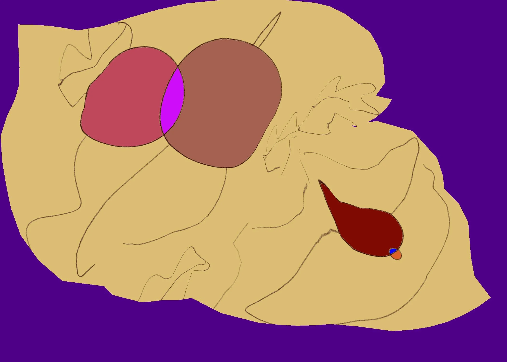 Untitled - January 1, 2026 12.14.jpeg