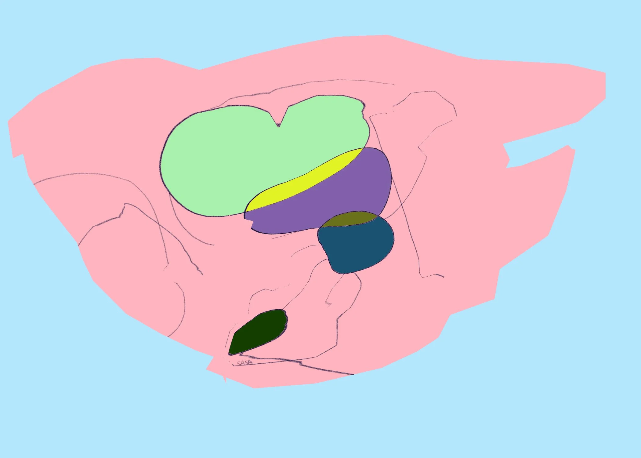 6 2 Untitled - January 11, 2026 13.01.jpeg