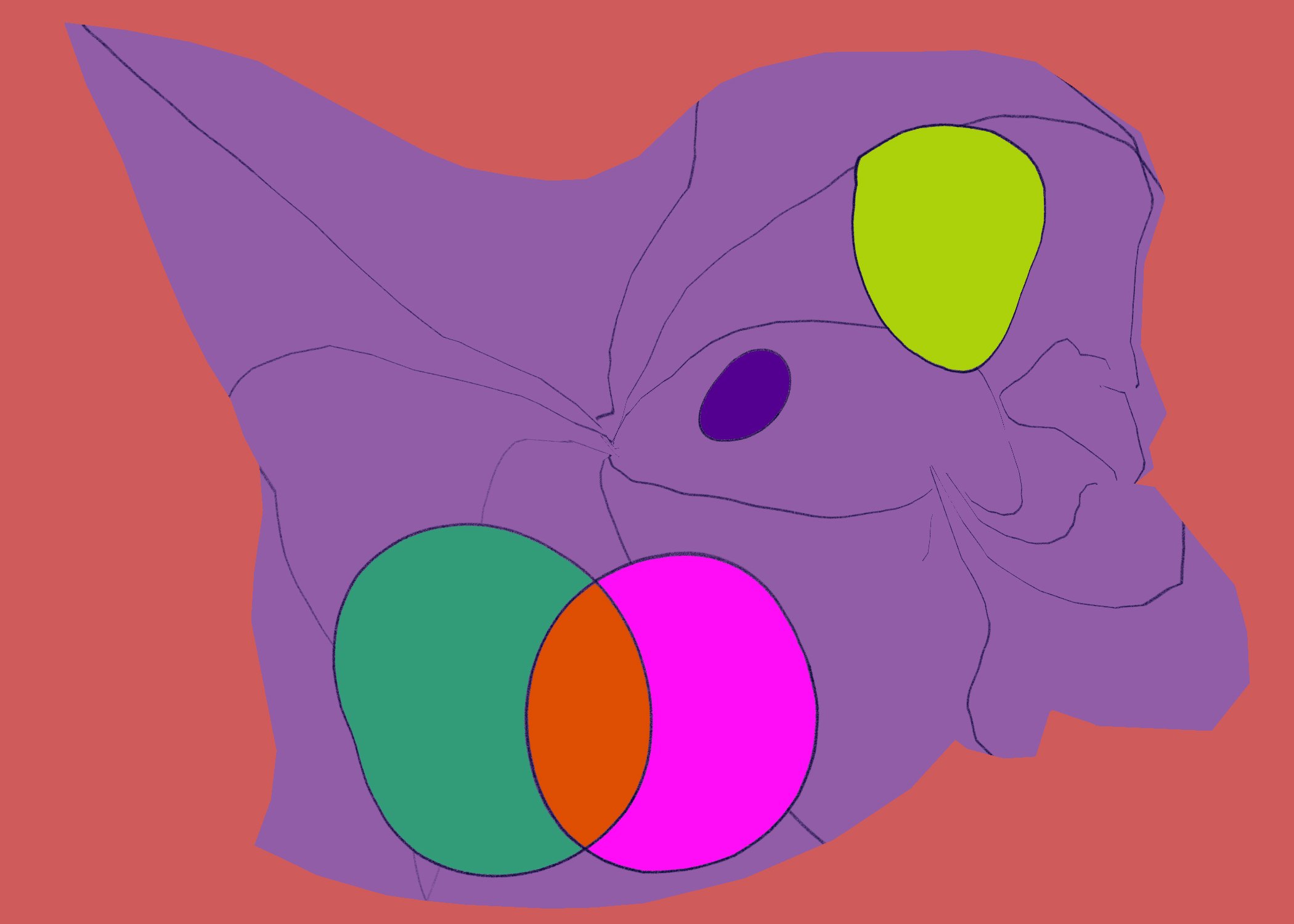 Untitled - January 4, 2026 14.56.jpeg