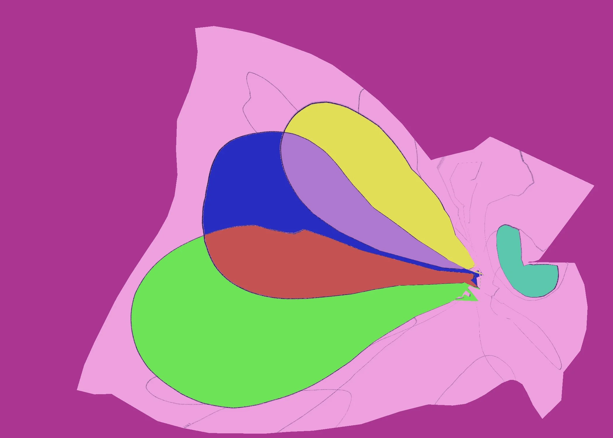 91 Untitled - January 13, 2026 14.28.jpeg