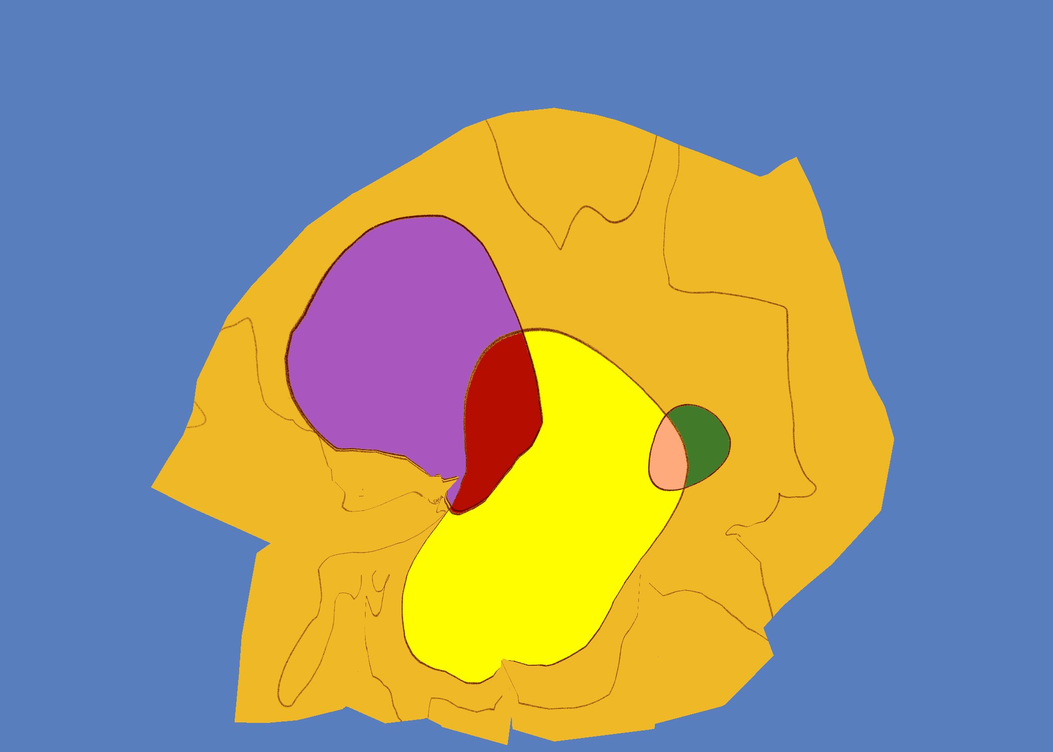 48 Untitled - January 4, 2026 21.07.jpeg