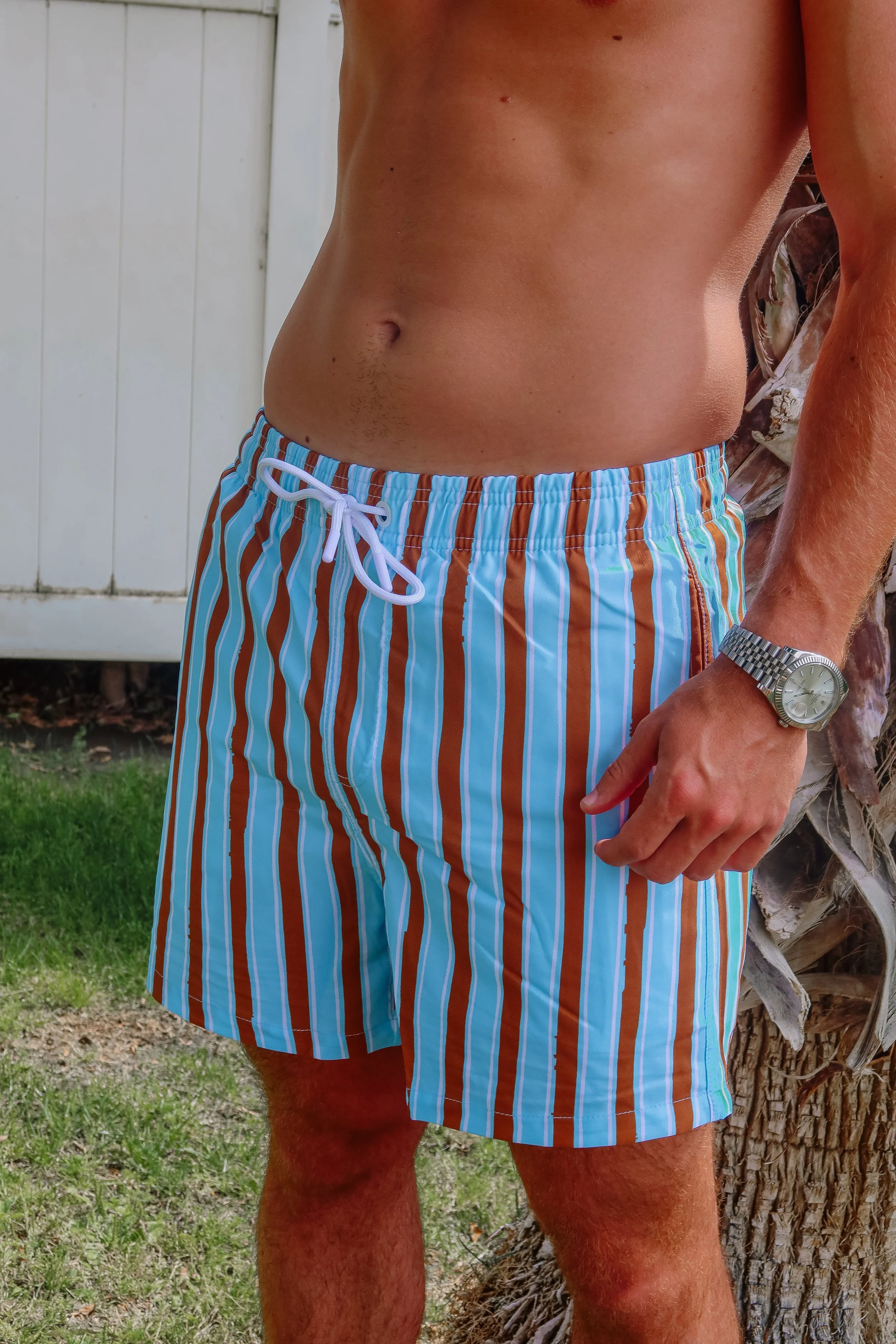 COASTAL STRIPE TRUNKS