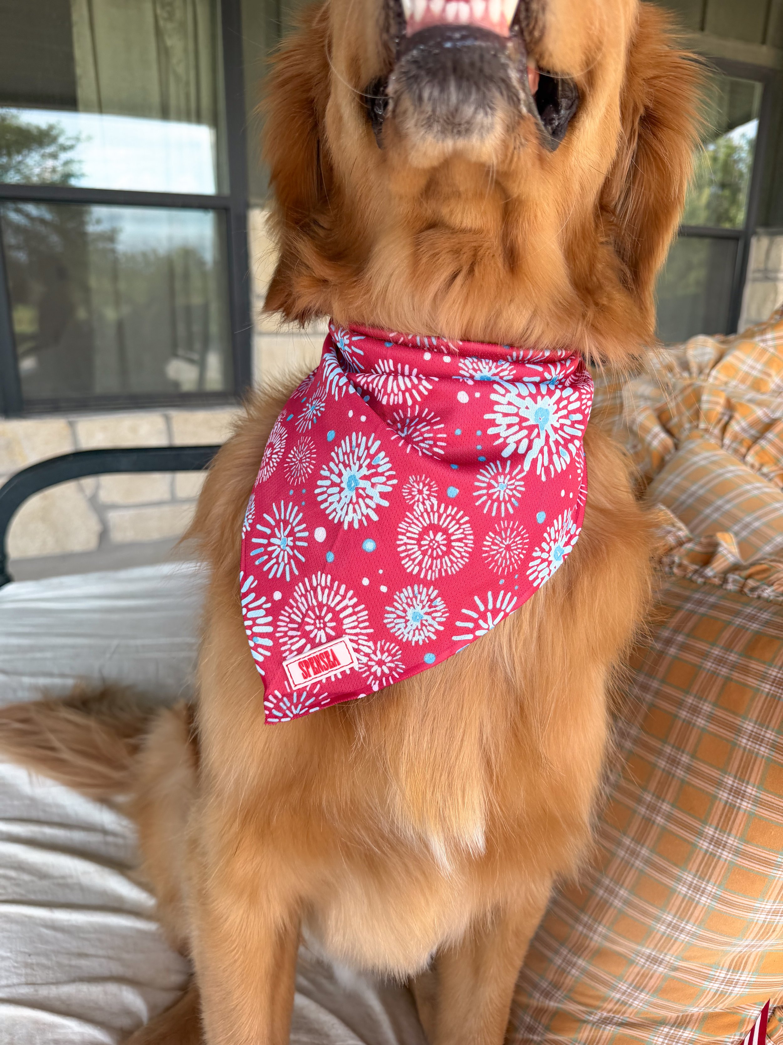 Firework Dog Bandana