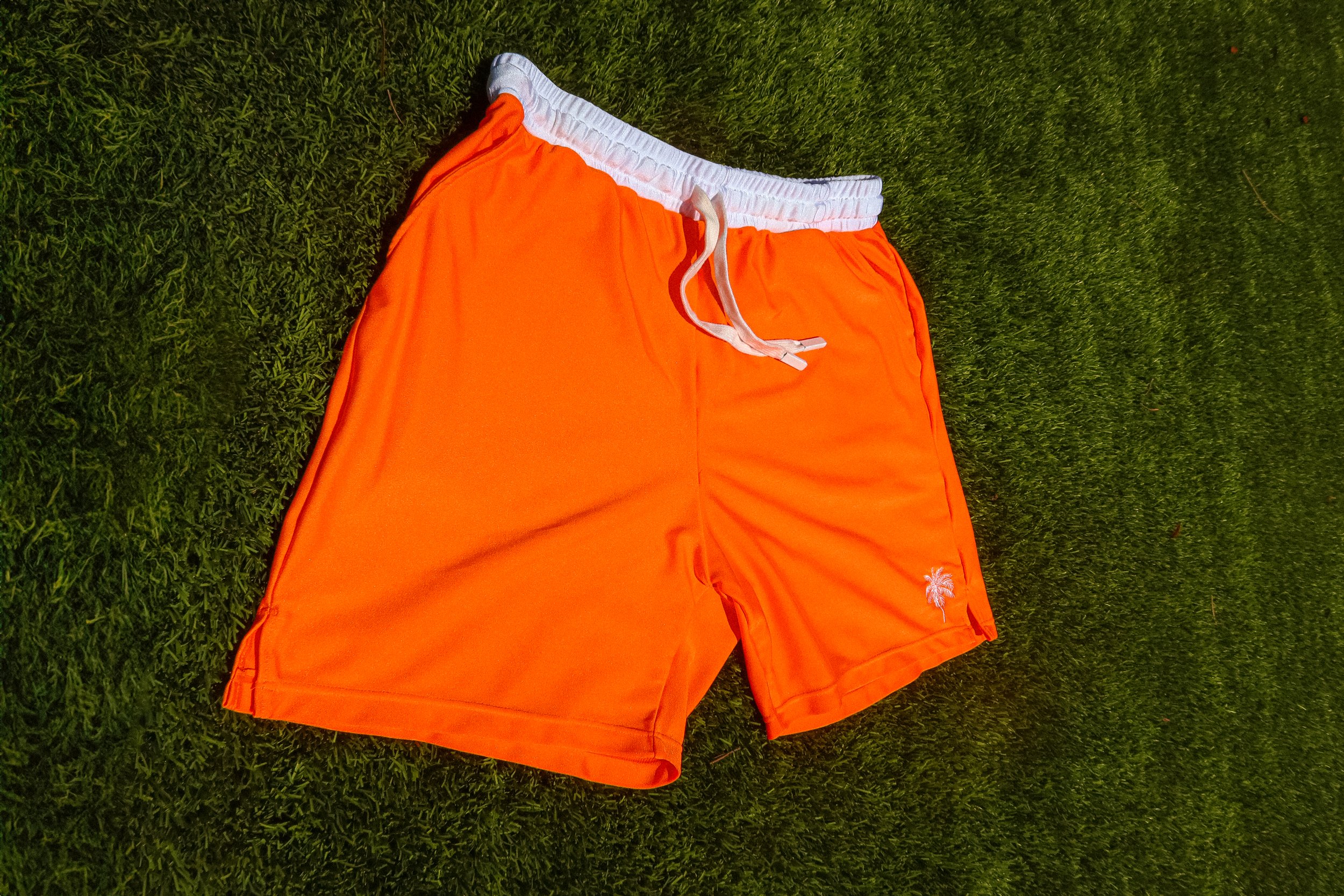 HYBRID CREAMSICLE MENS SHORTS