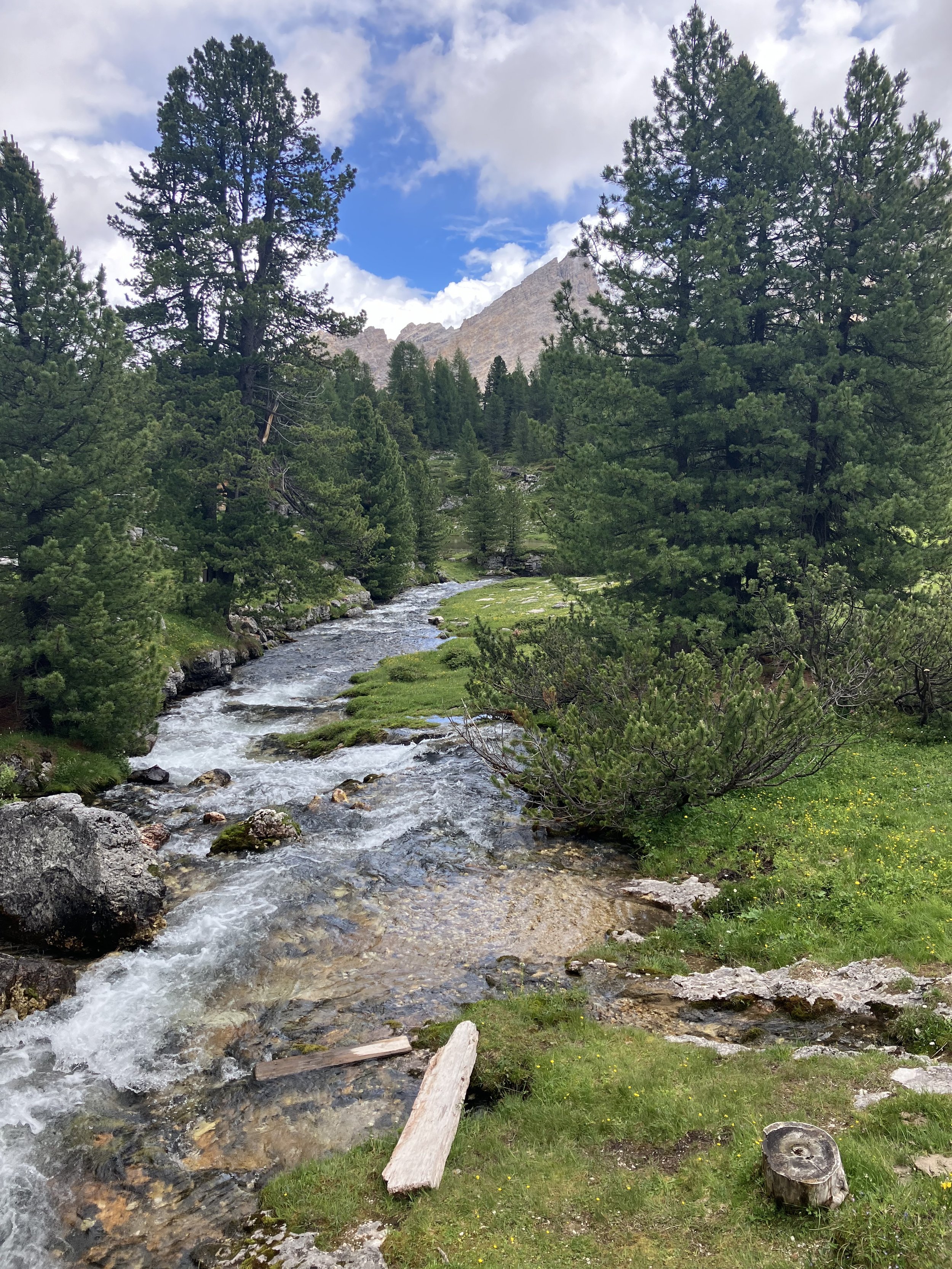 The Analogy that Finally Helped Me Feel Money Differently