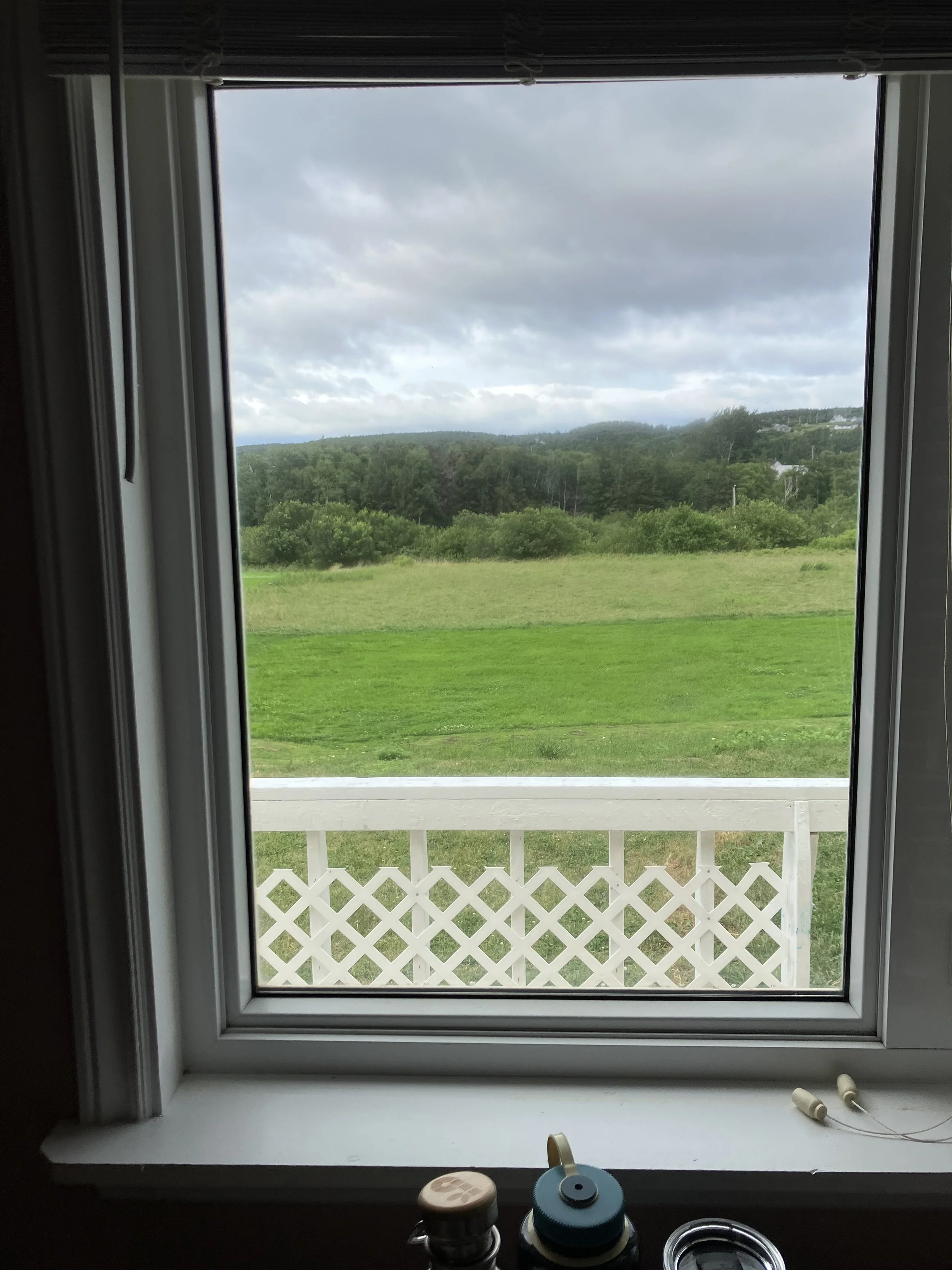 IMG_1469.jpeg