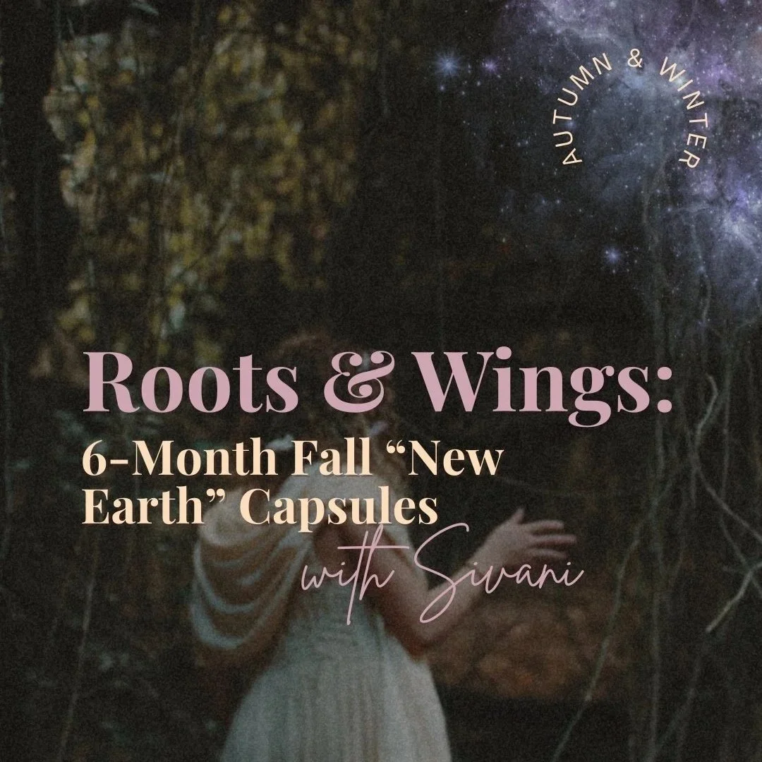 Roots & Wings - Winter 2025/26