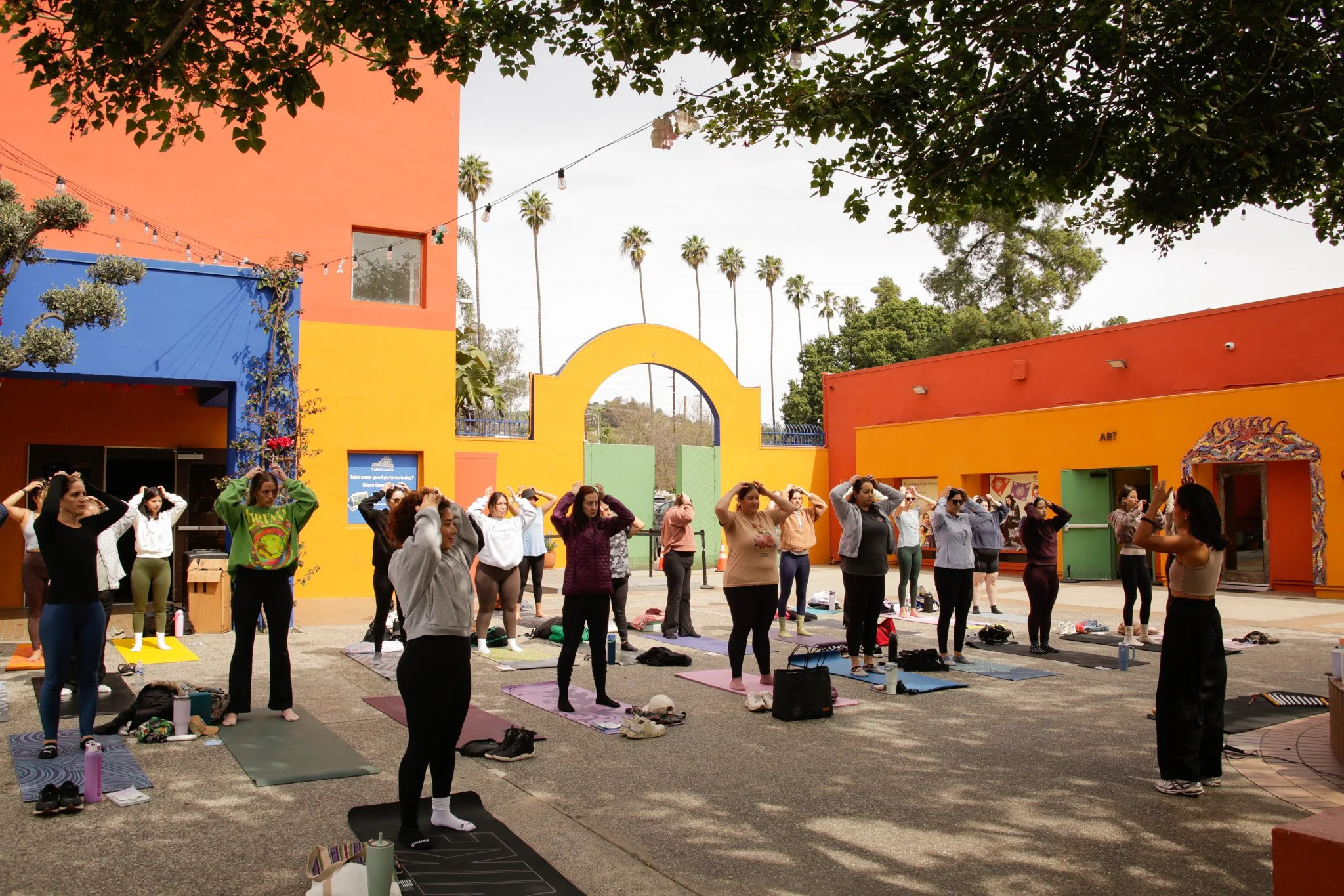 PLAZA 2025 8.jpg