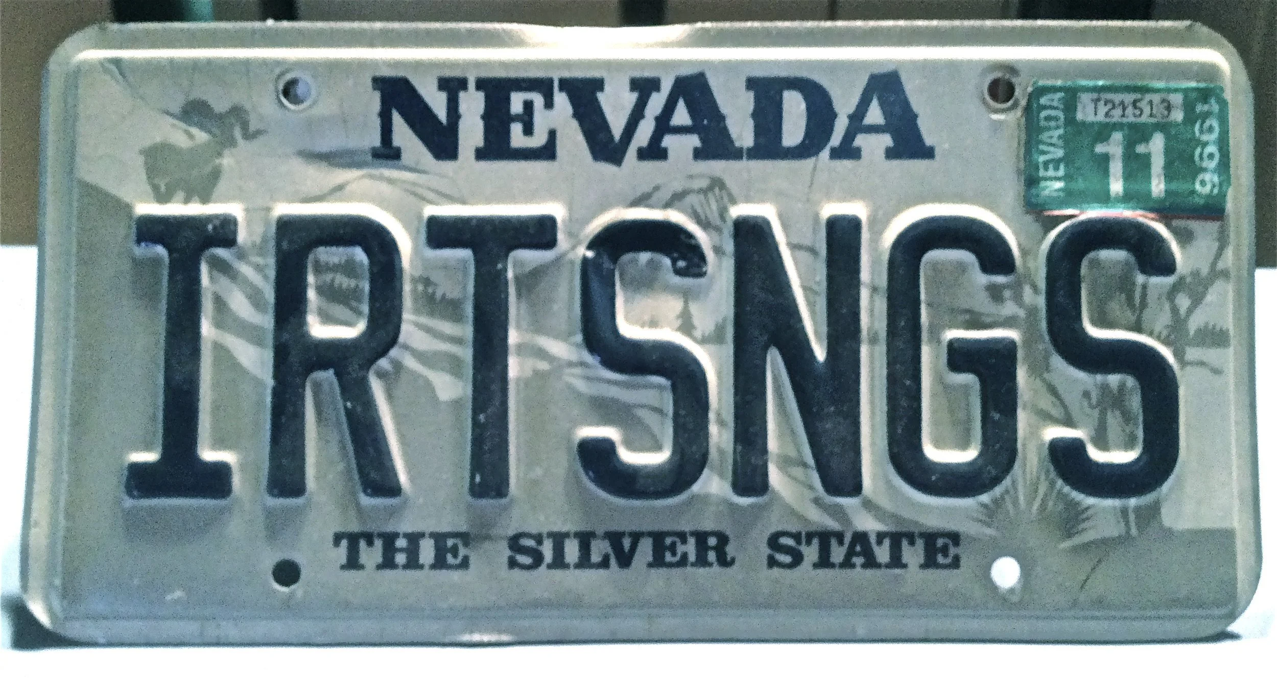 Shane Adams’ Nevada license plate reading IRTSNGS, for I Write Songs