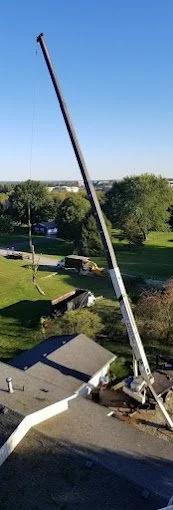tree site 2.jpg