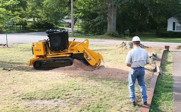 Stump Grinding
