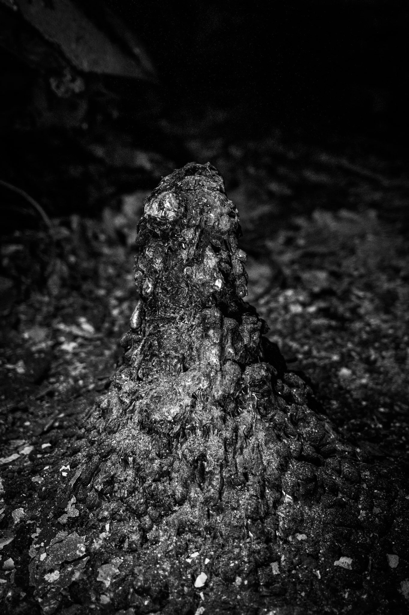 DSCF9358.jpg