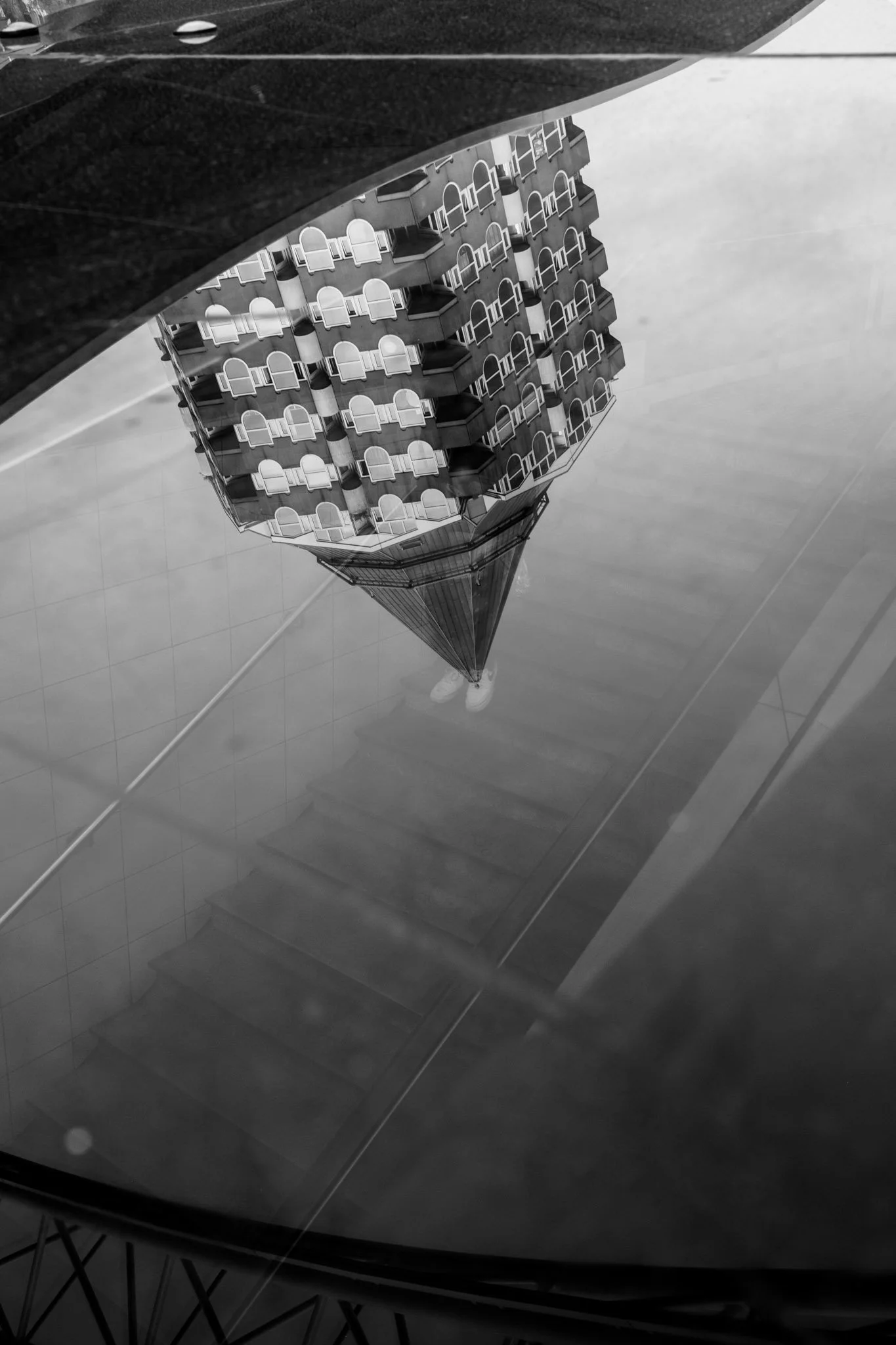 DSCF6378.jpg