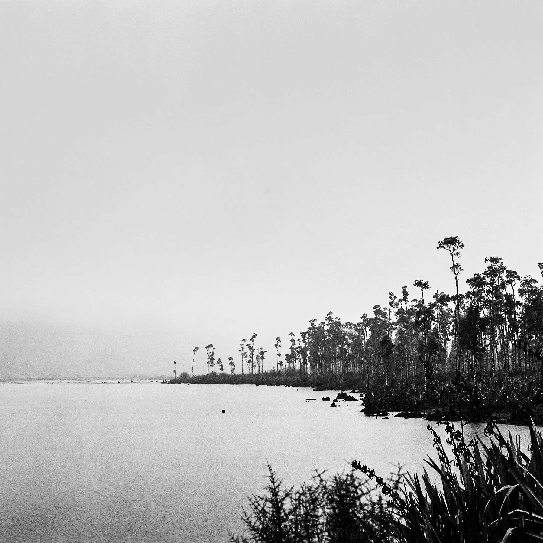 E000489-R1-04-5.jpg
