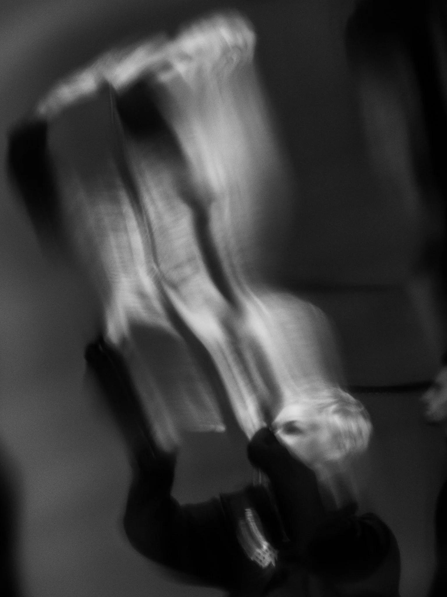 P3888856.jpg