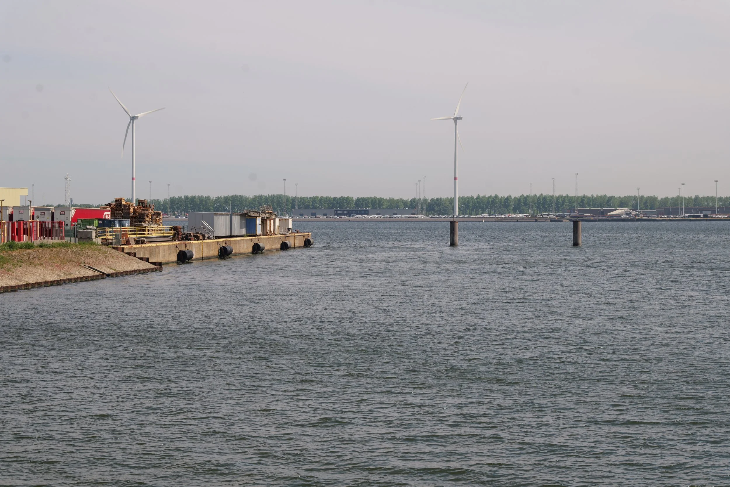 P1173384.JPG