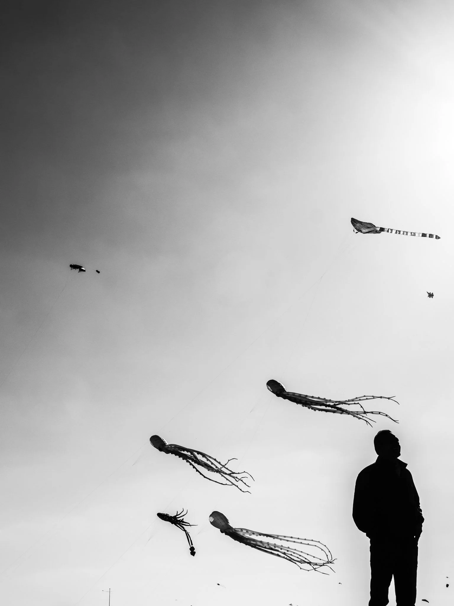 P3177543-Edit.jpg