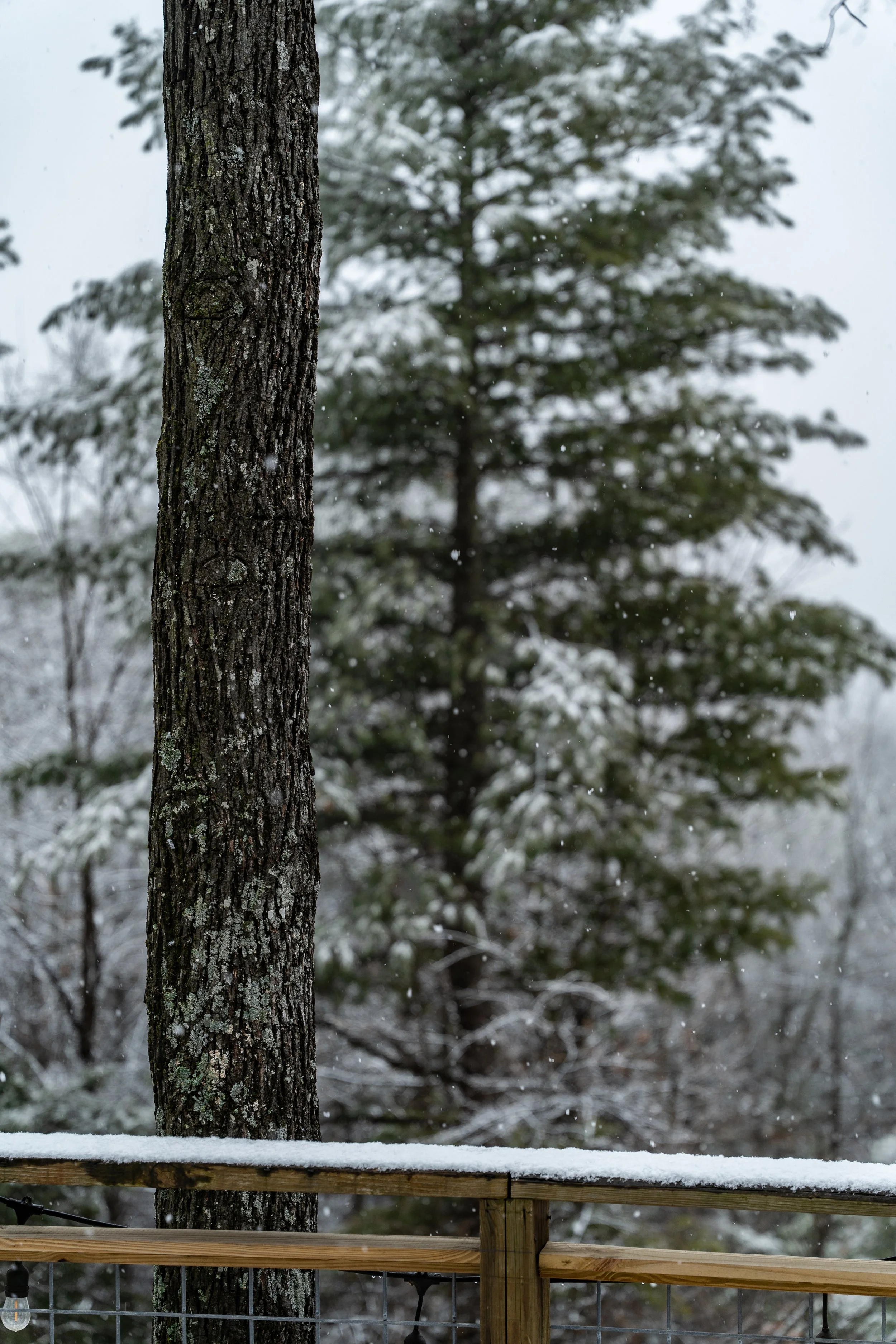 20260221 Mountain Retreat-7.jpg