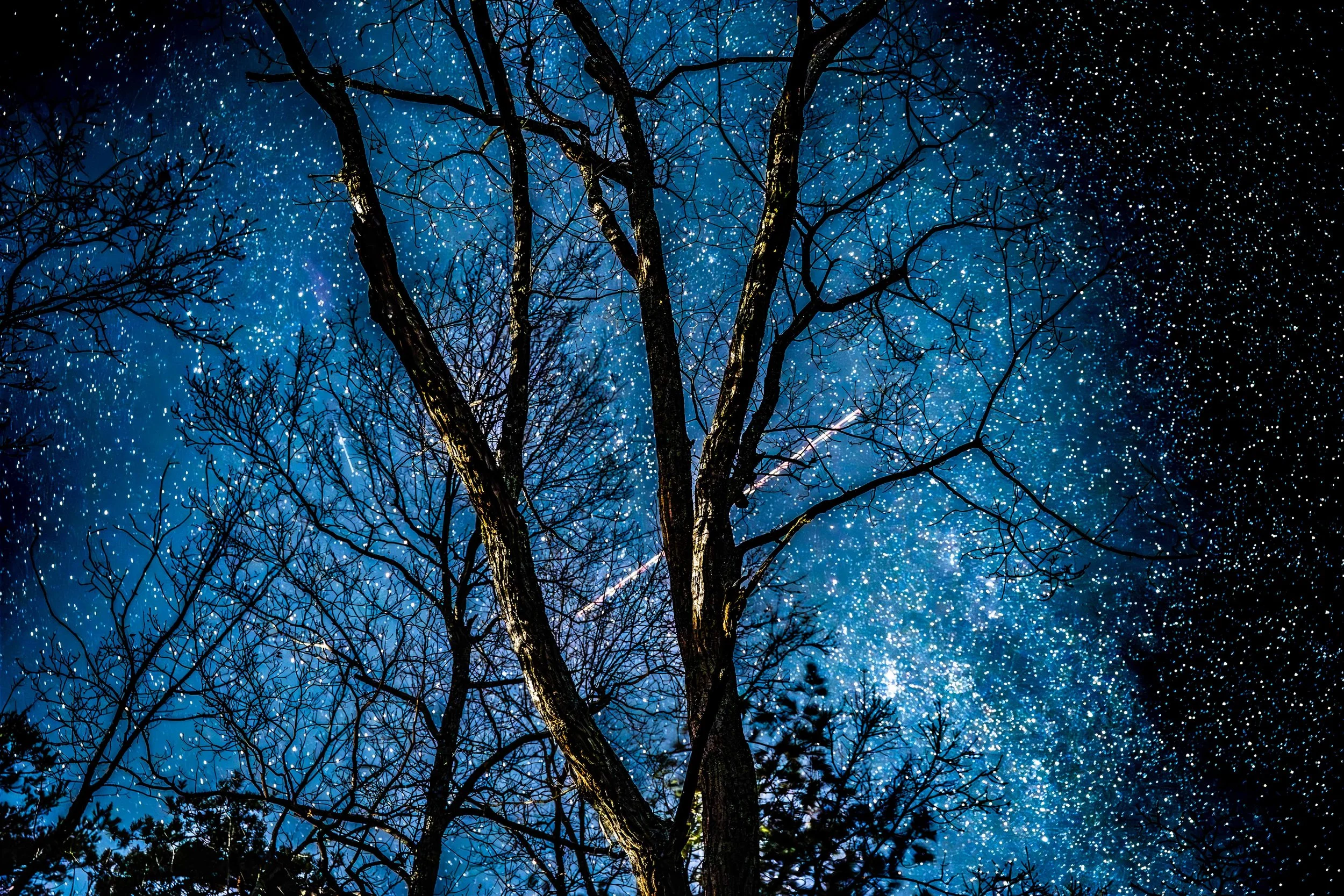 20260221 Mountain Retreat-LR-1.jpg