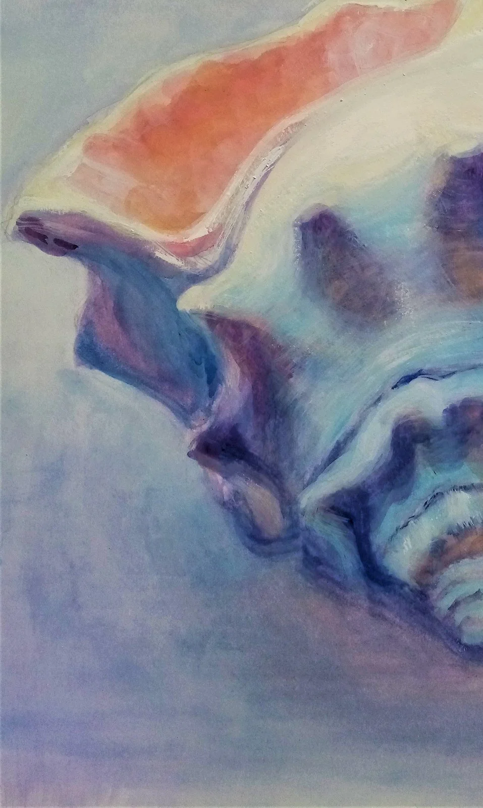 Shell
gouache
10 in. x 6.5 in.