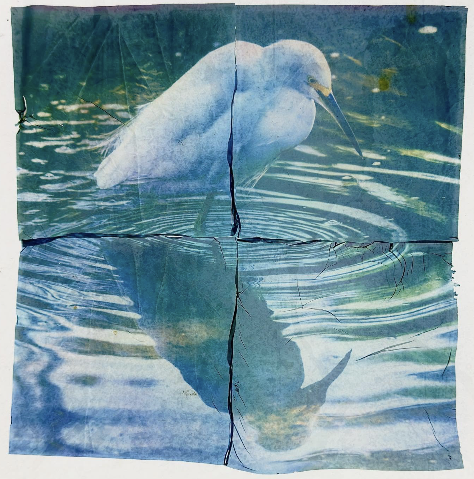 Polaroid Emulsion Lifts: Peeling Back the Magic