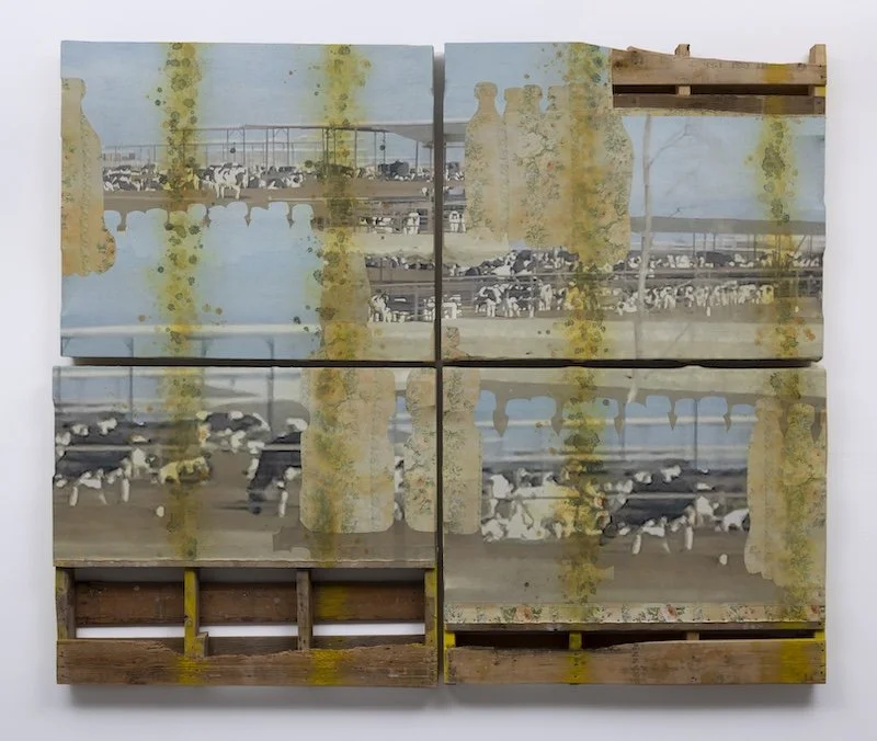 Dust to Dust | Artist Talk and Presentation with Katie Murken