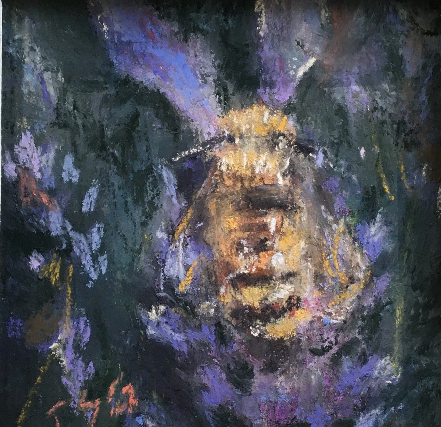 TERESA STEINBACH-GARCIA
Pastel, Watercolor, Oil
TsteinbachGarcia@frontier.com