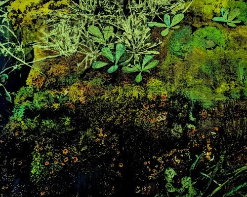 STEPHANIE FOTI-MOLINARI
Printmaking, Multidisciplinary
stephanie@discerned.com
@stephaniefotimolinari_artist