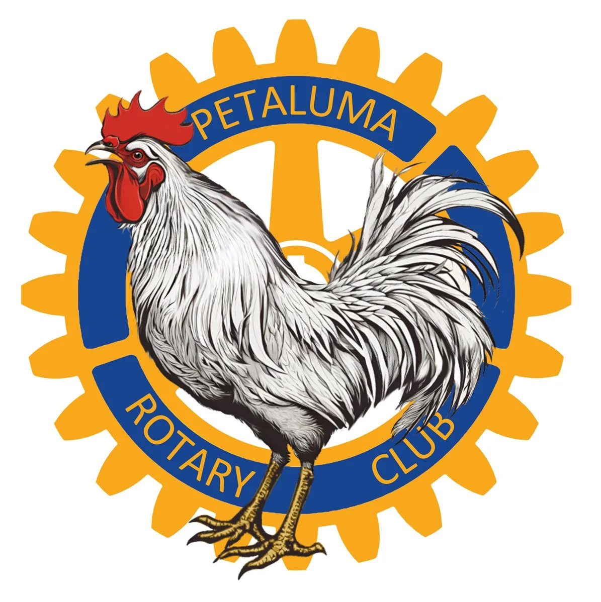 Illustration of a rooster in front of Petaluma Rotary Club logo with a yellow gear design.