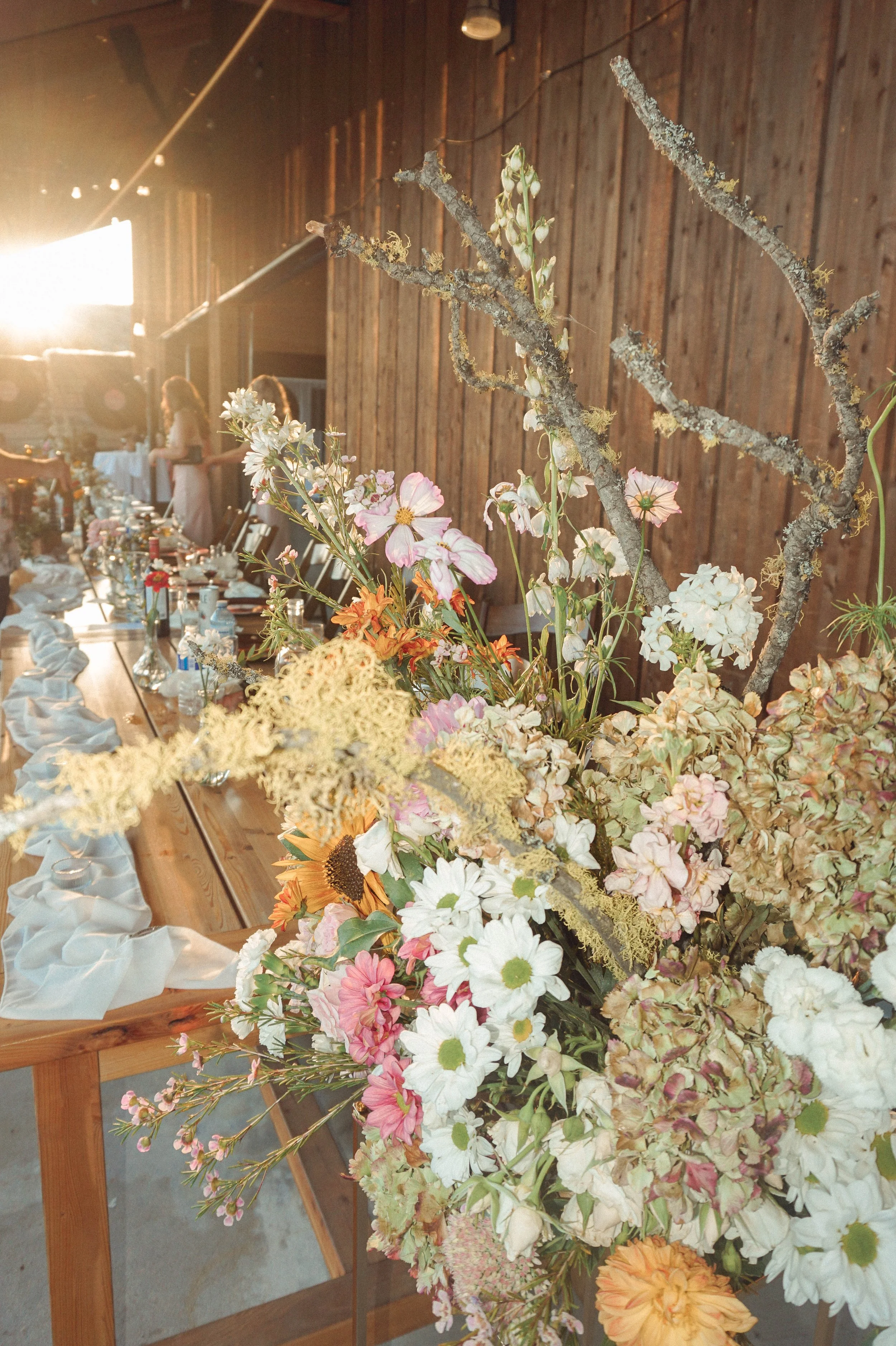 DSC02742.jpg