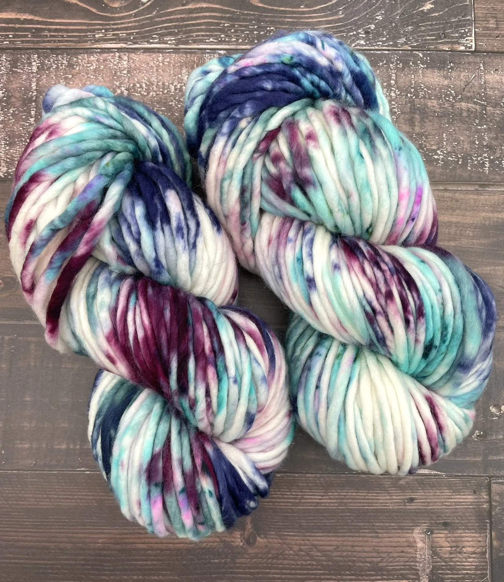 Squirrel Zoomies Oopsie SB98.JPEG