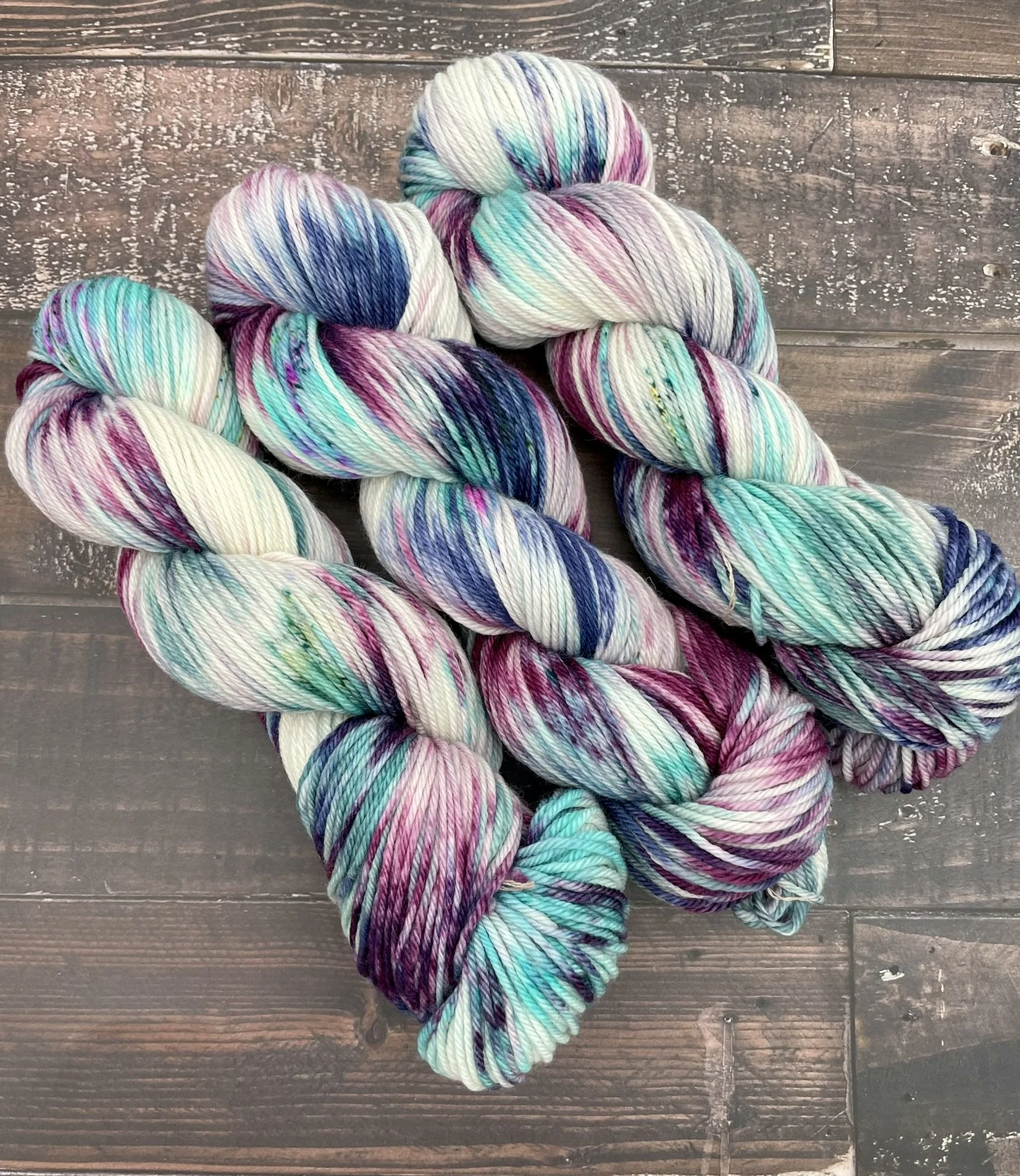 Squirrel Zoomies Oopsie Worsted.JPEG