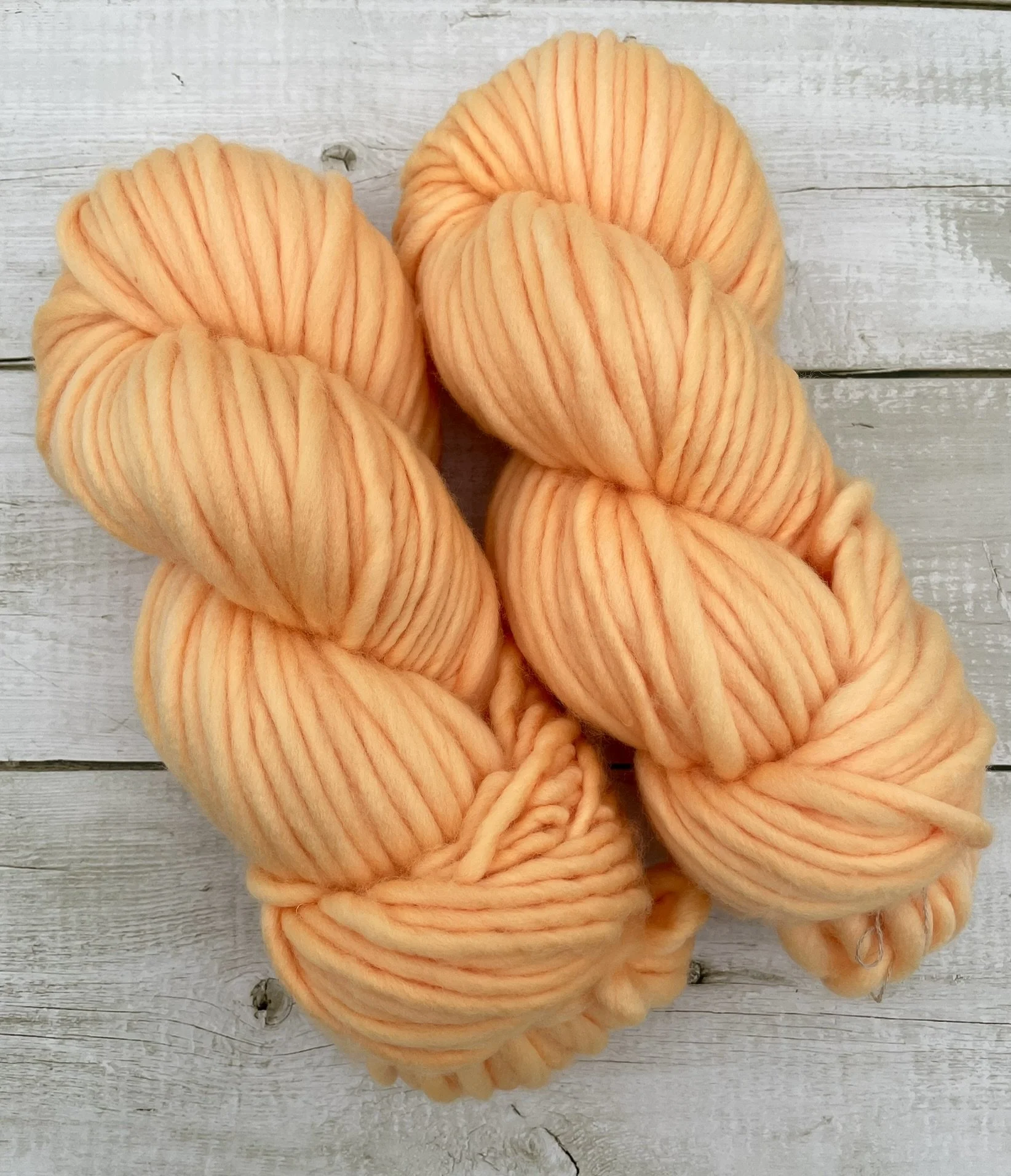 Squirrel And The Giant Peach SB98.JPEG