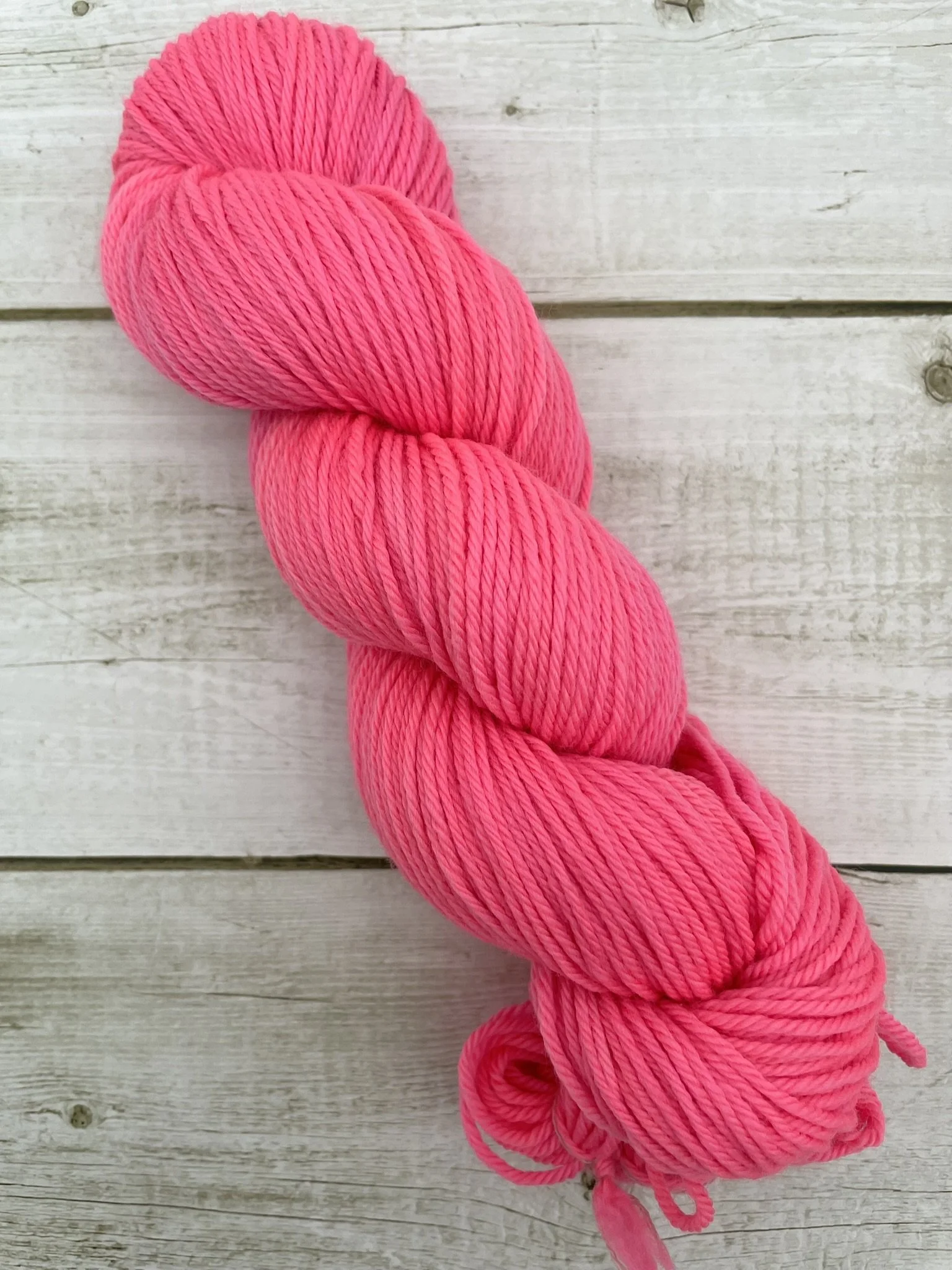 Bashful Squirrel Merino DK.JPEG