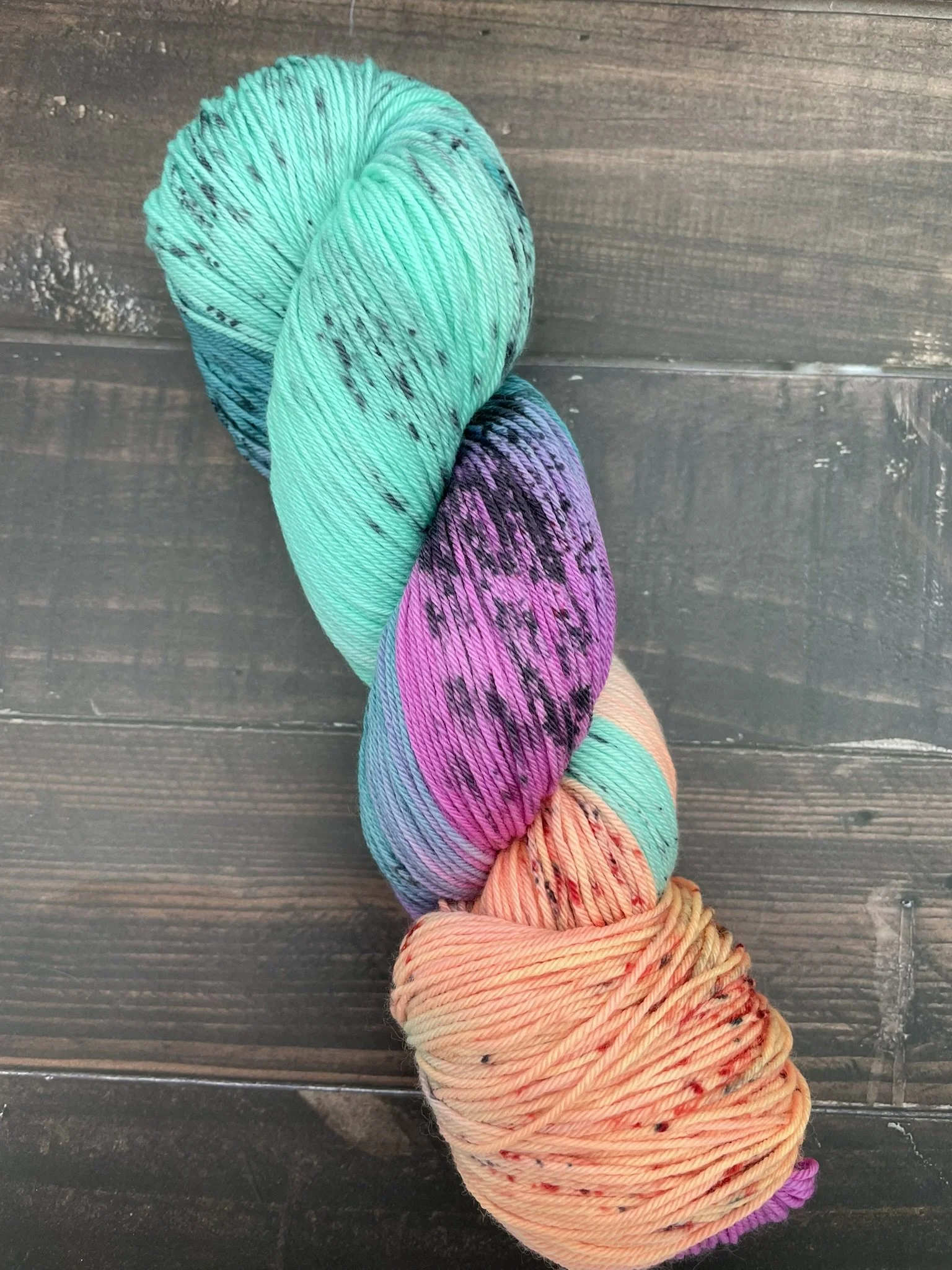 The Lanai on Sock.JPEG