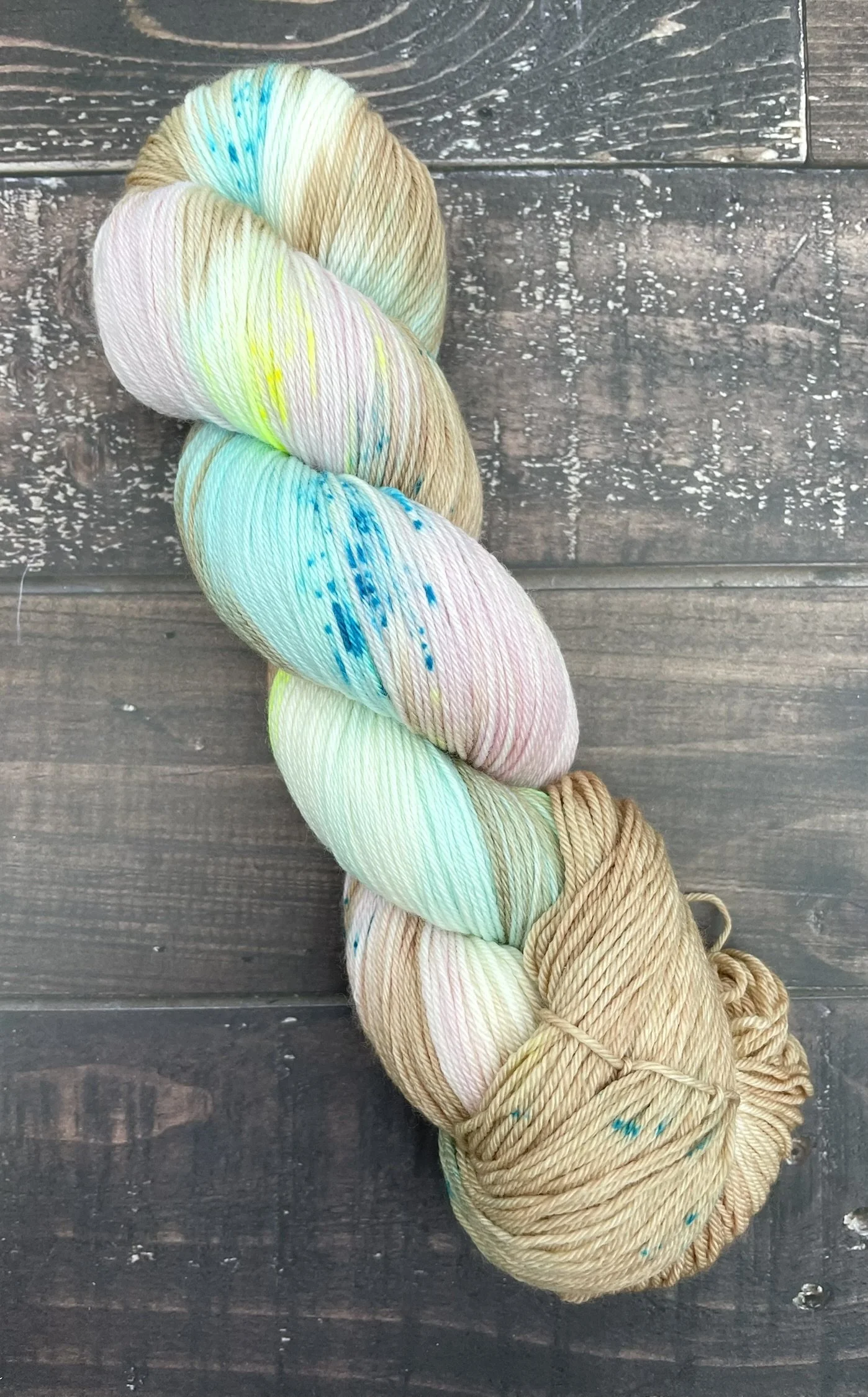 Hazel the Homebody sock single skein.JPEG