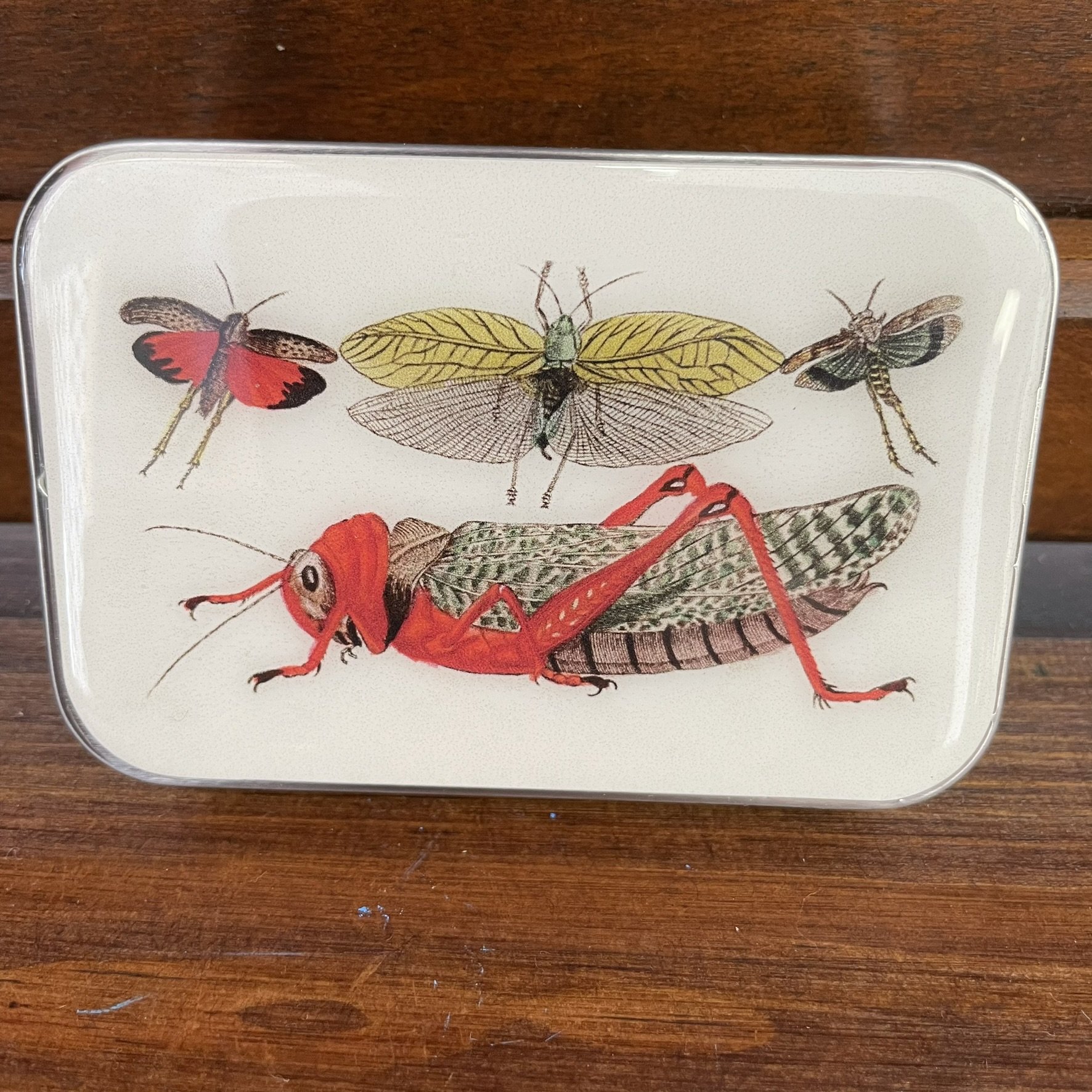 Notion Tin by Firefly Notes – Cricket