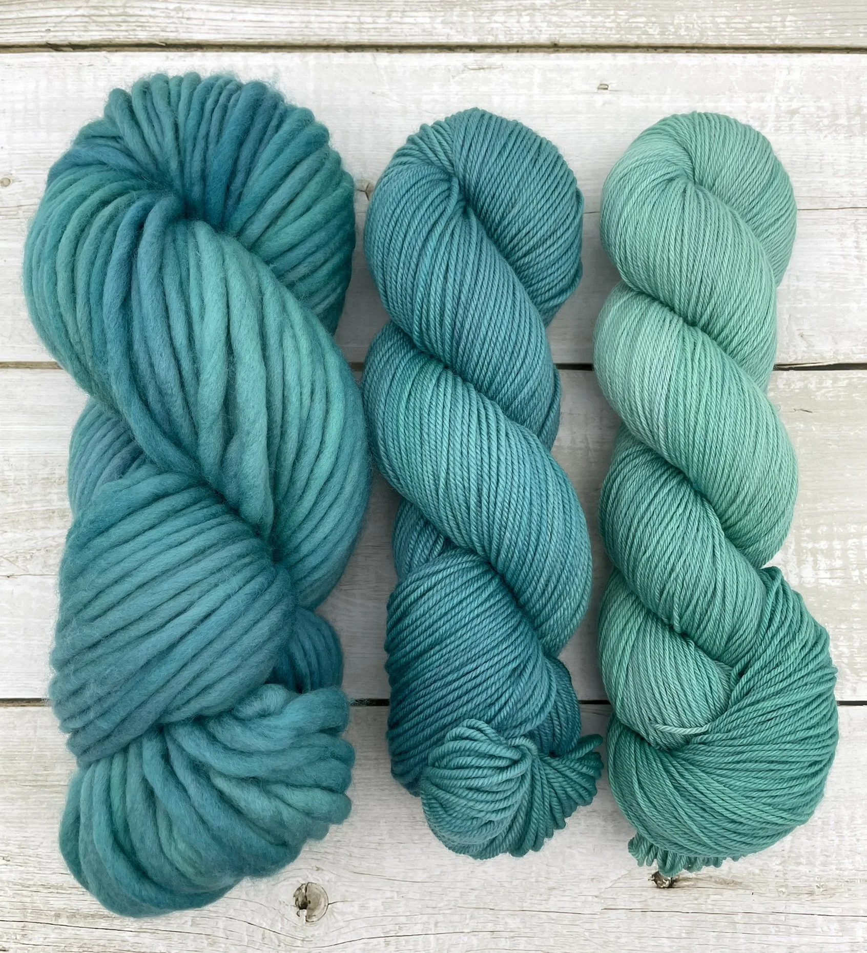 Squirrel & Co. SB SK Sock.JPEG