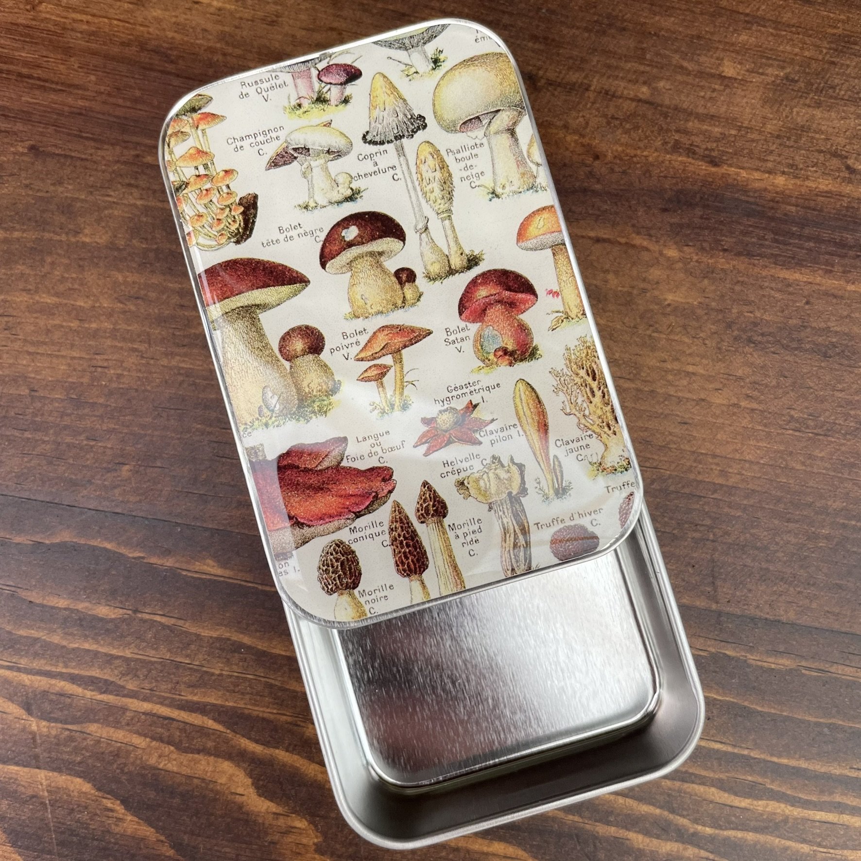 Firefly Notes notions tin with a vintage botanical illustration of mushrooms, showcasing a variety of fungi species.