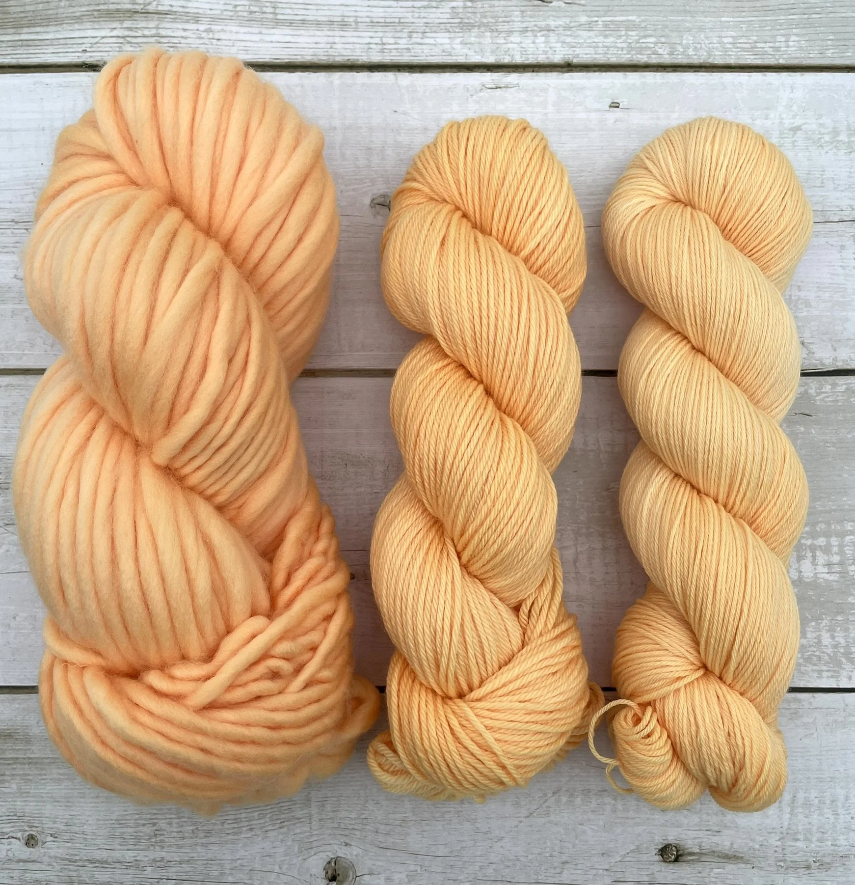 Squirrel And The Giant Peach SB DK Sock.JPEG