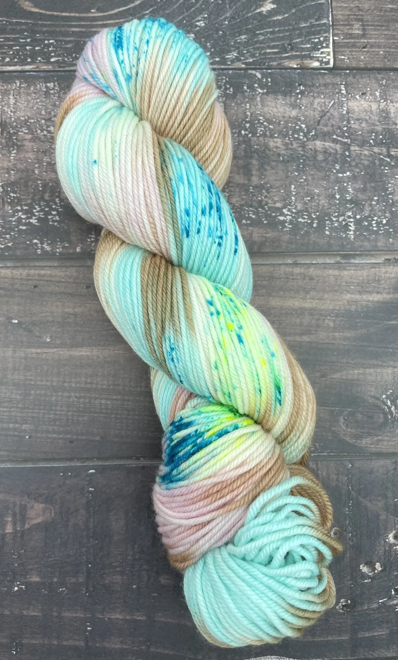 Hazel the Homebody DK single skein.JPEG