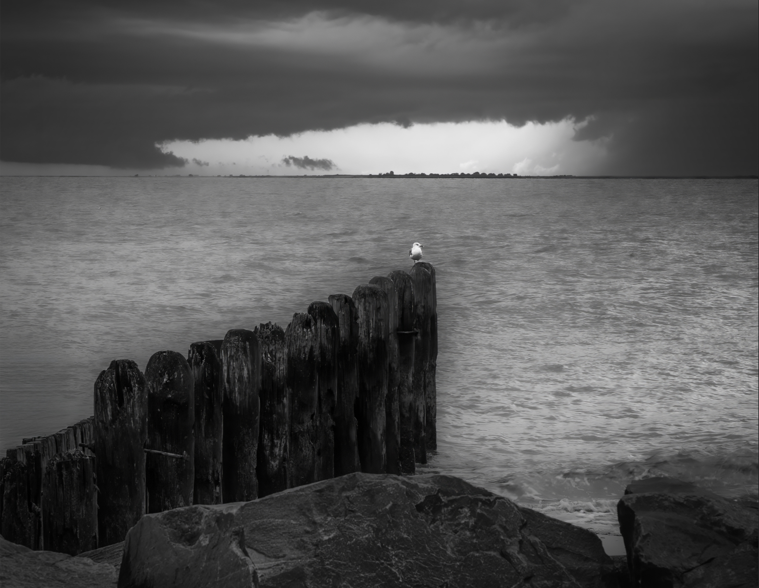 Cape May Lookout by Sue Irish