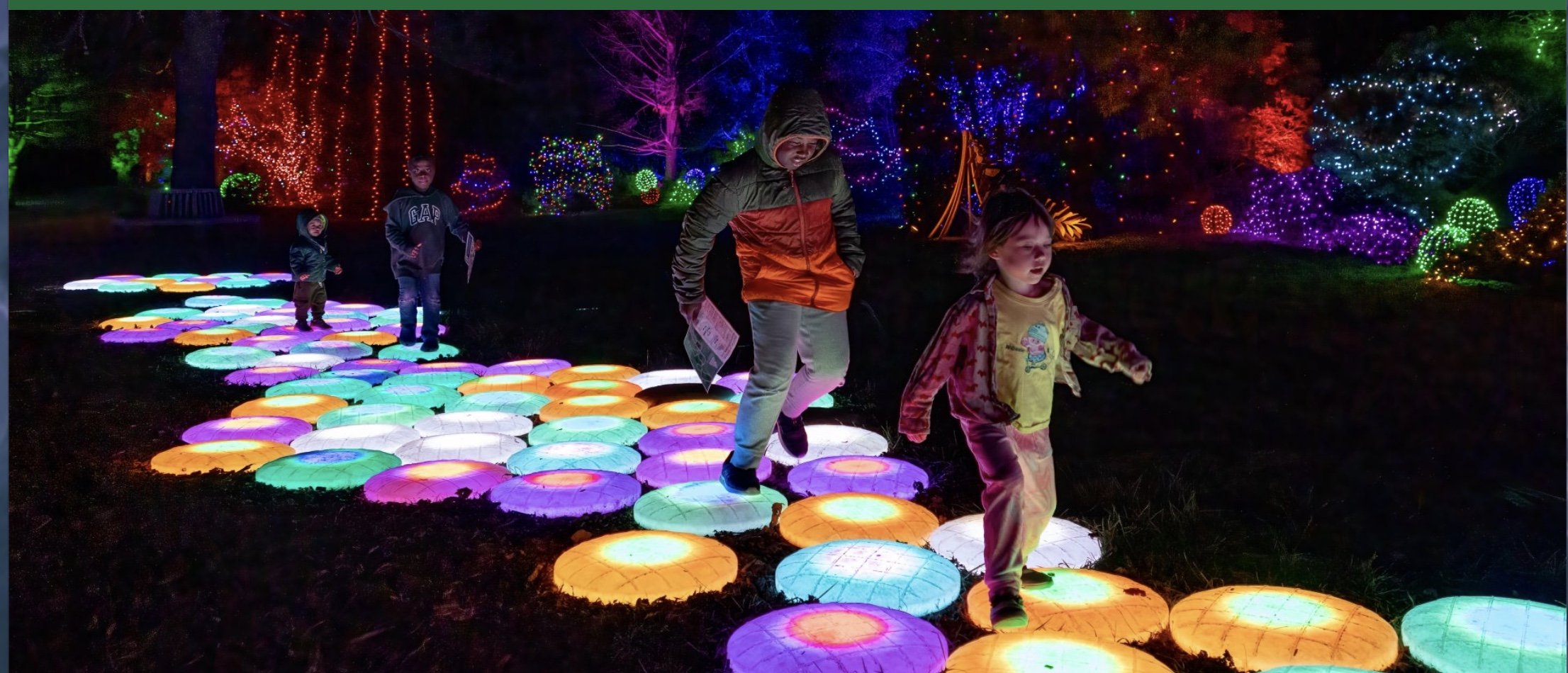 Visit Meadowlark Gardens Winter Walk of Lights