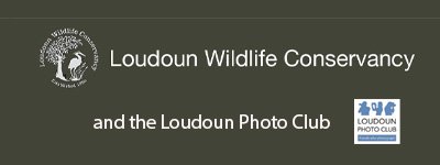 Shoot! Preserve! Explore!