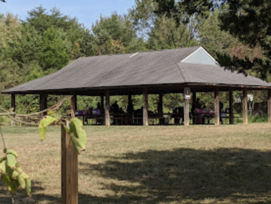 Save the date: End of Year Picnic